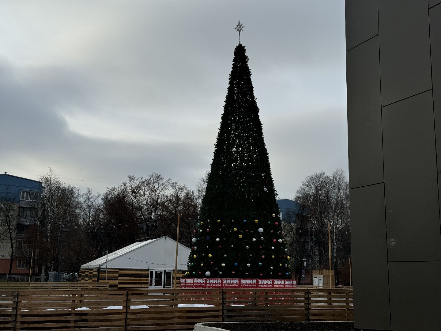 новогодняя елка, ленинский округ, украсили город, зима в подмосковье,