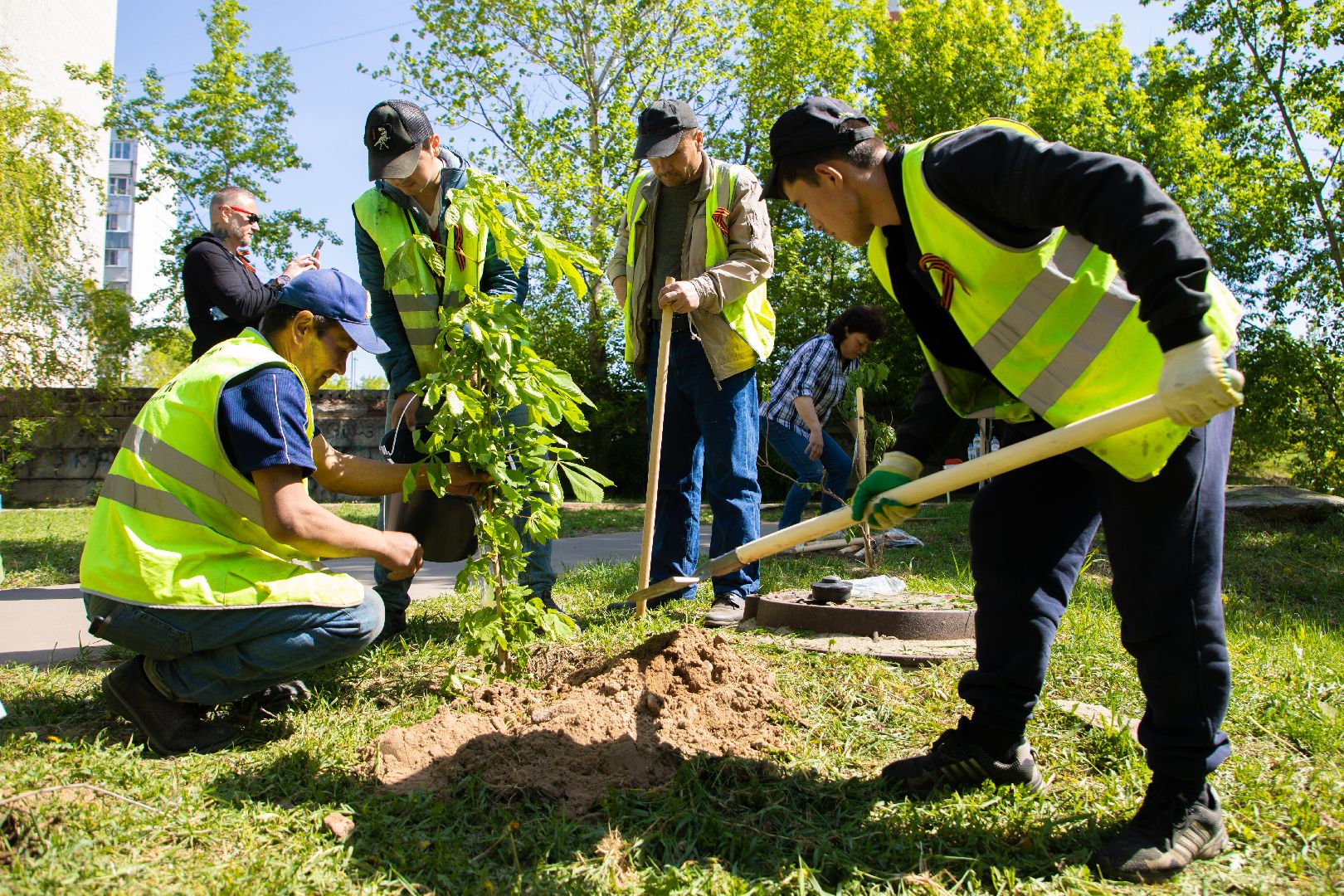 лыткарино, общество, лес победы,