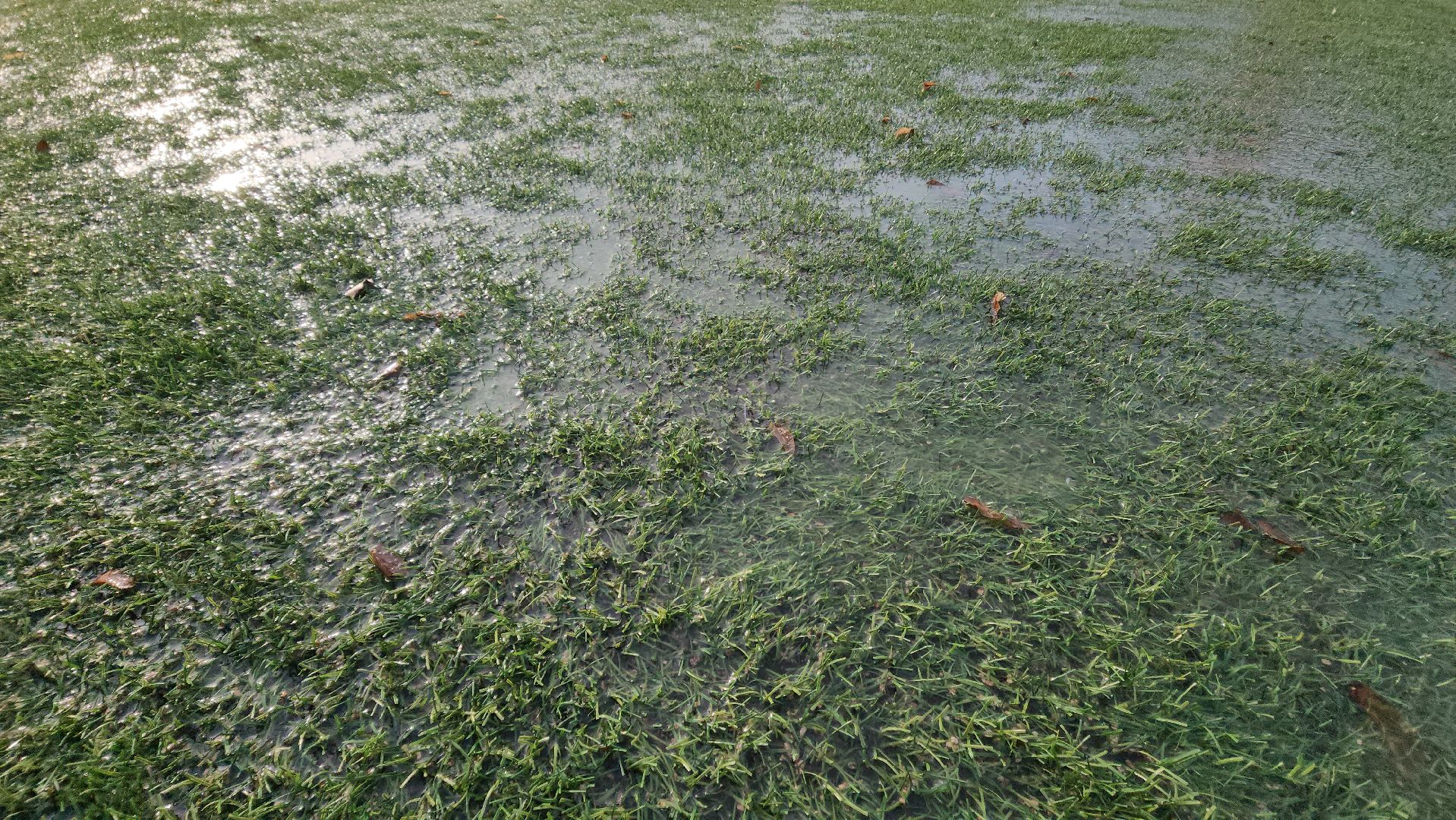 заливка катка, зоркий, красногорск,