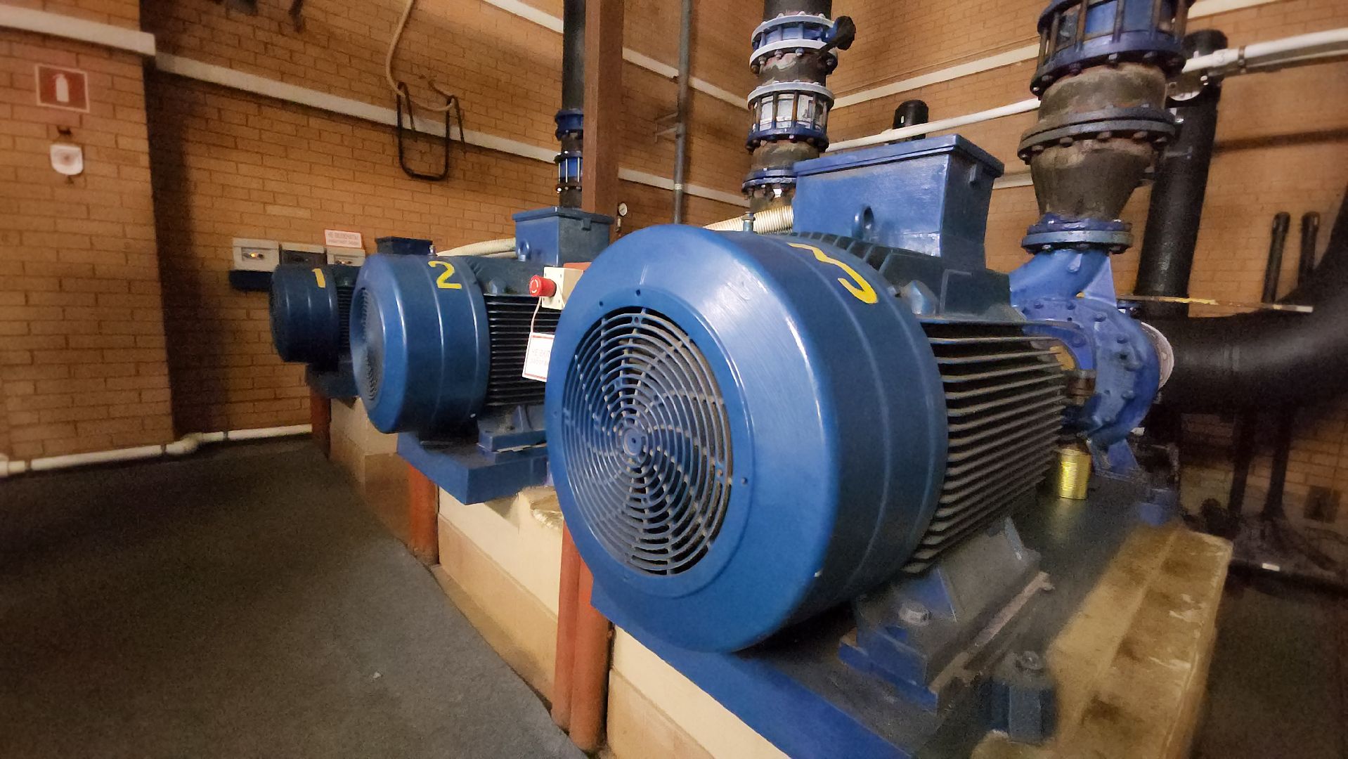 заливка катка, зоркий, красногорск,