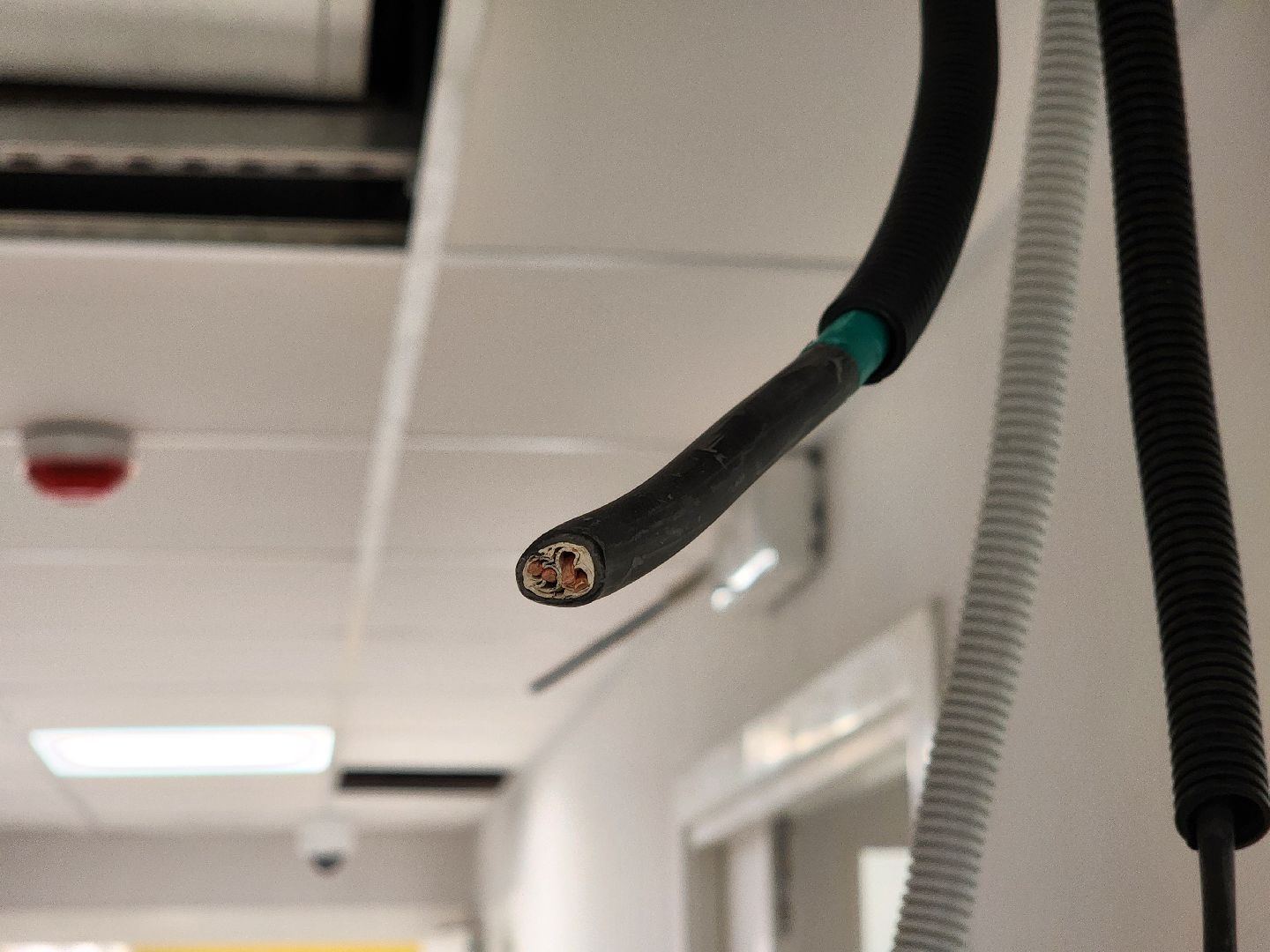 королёв, лицей 4 в королеве, капитальный ремонт лицея в королеве,