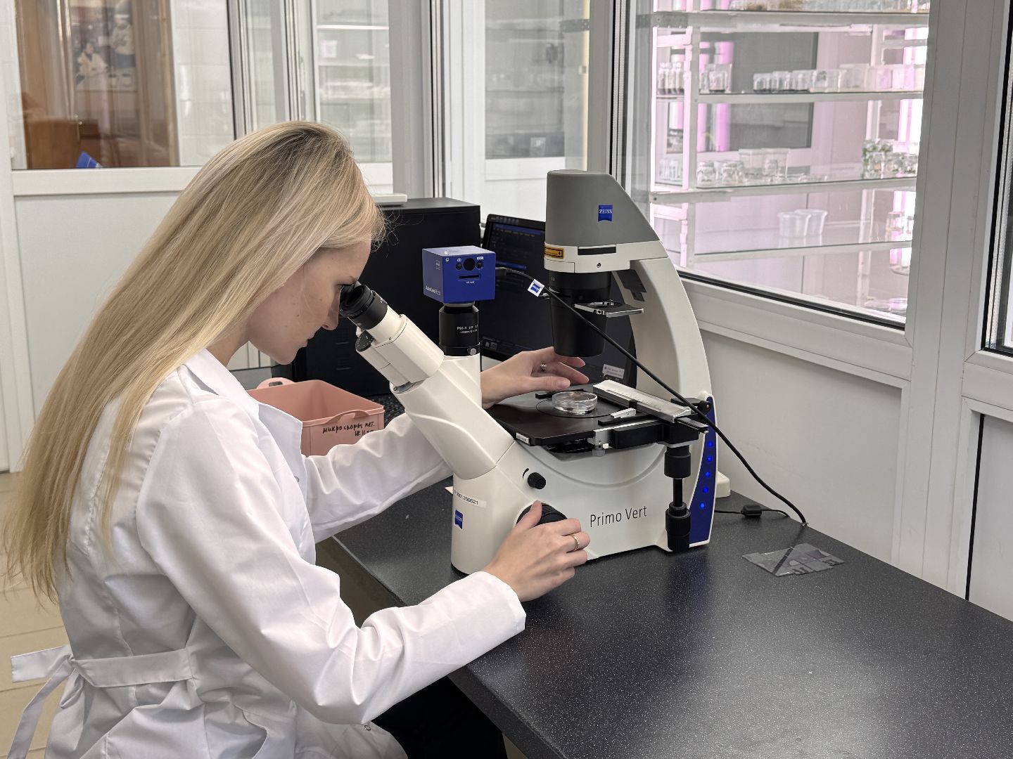 Молодой ученый из Одинцова, премия губернатора московской области, Премия за вклад в науку,