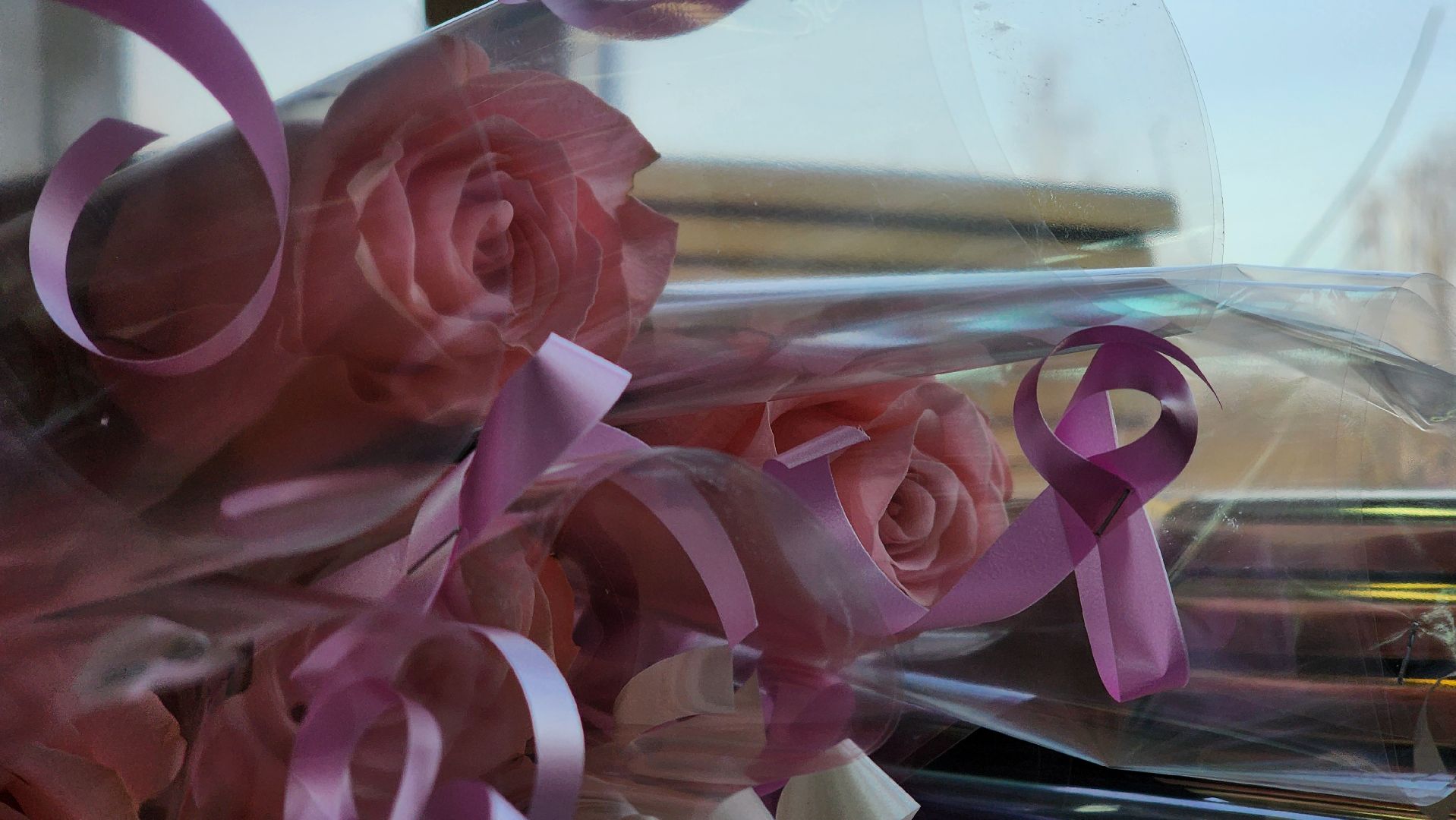 Руза,  Образование, нестеровский лицей,