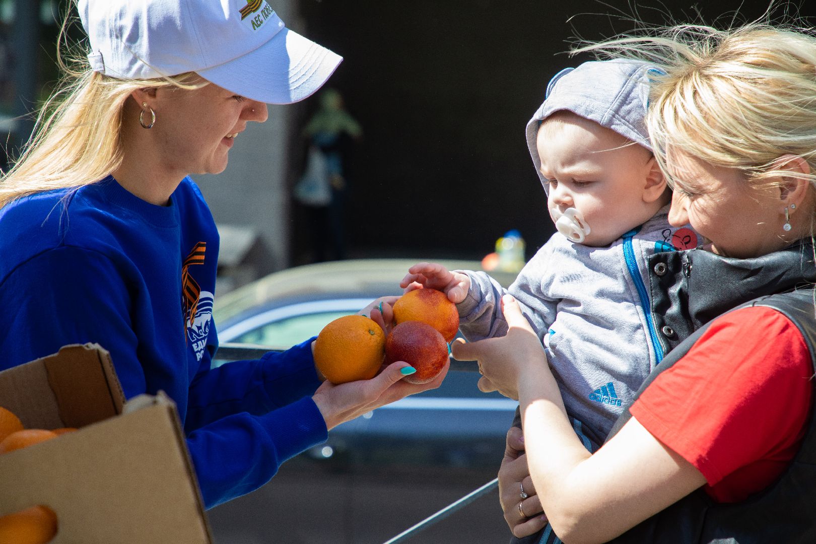 лыткарино, общество, лес победы,