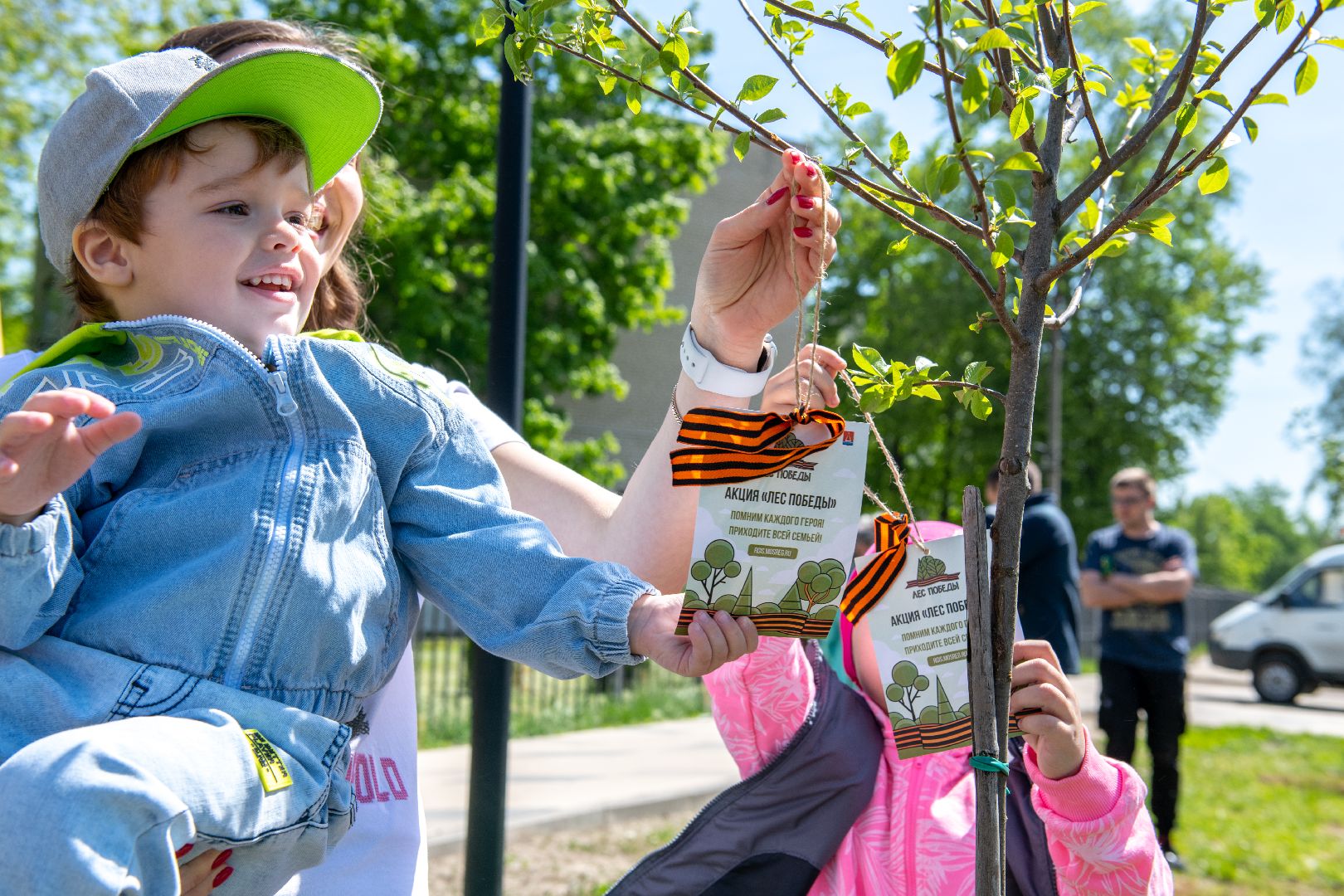лыткарино, общество, лес победы,