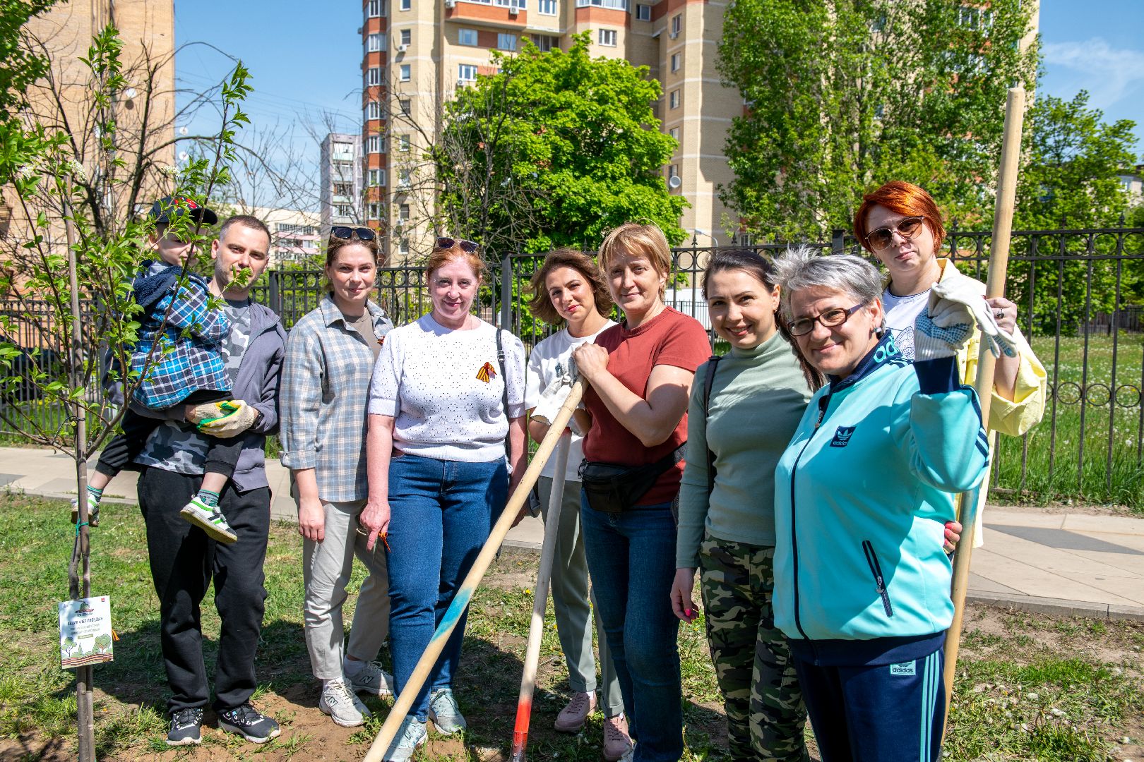 лыткарино, общество, лес победы,