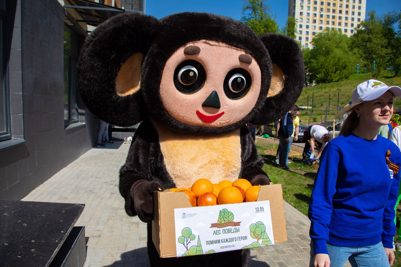 лыткарино, общество, лес победы,