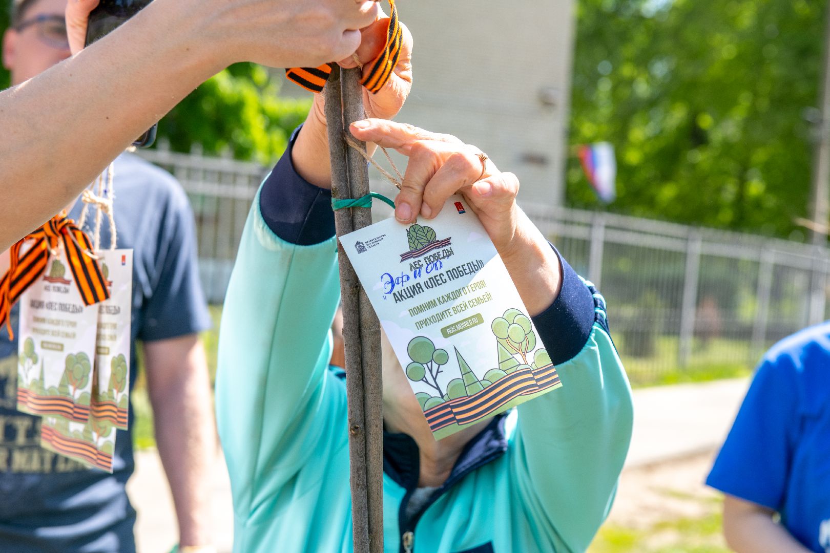 лыткарино, общество, лес победы,