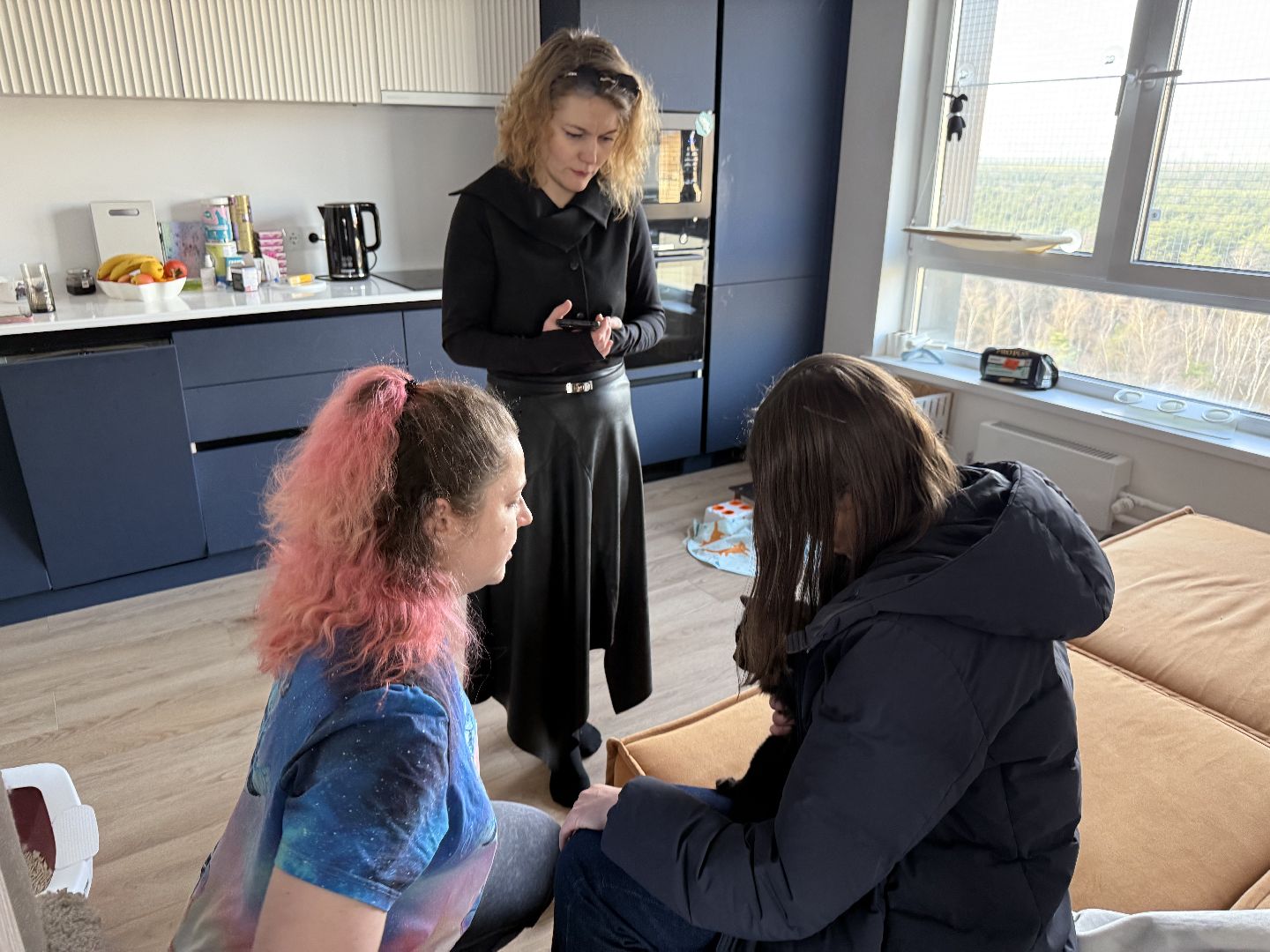 Котельники, Животные, Кошки, Зима, Помощь ,