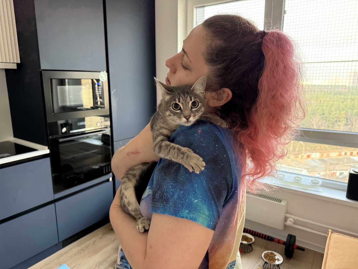 Котельники, Животные, Кошки, Зима, Помощь ,