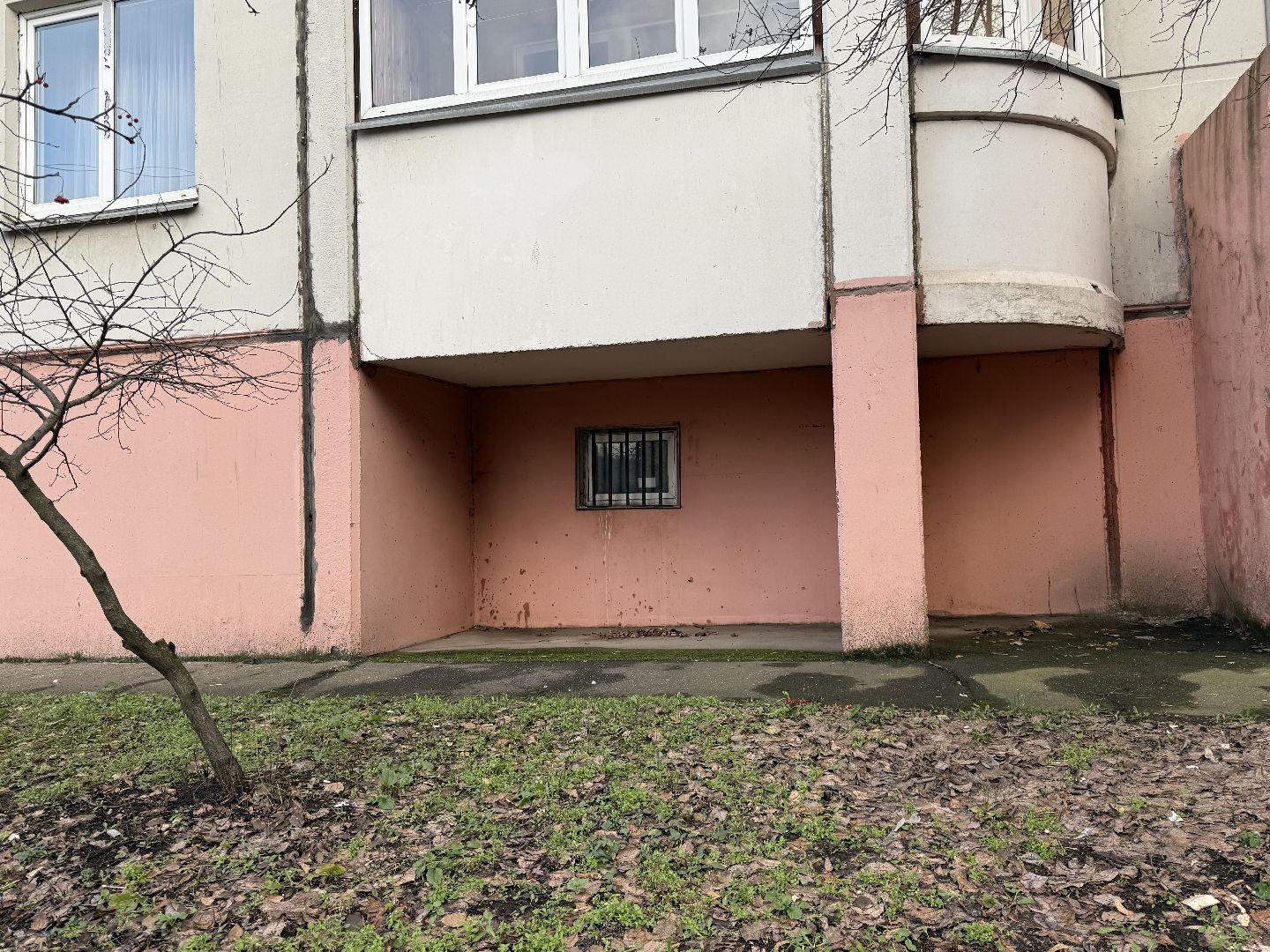 Котельники, Животные, Кошки, Зима, Помощь ,