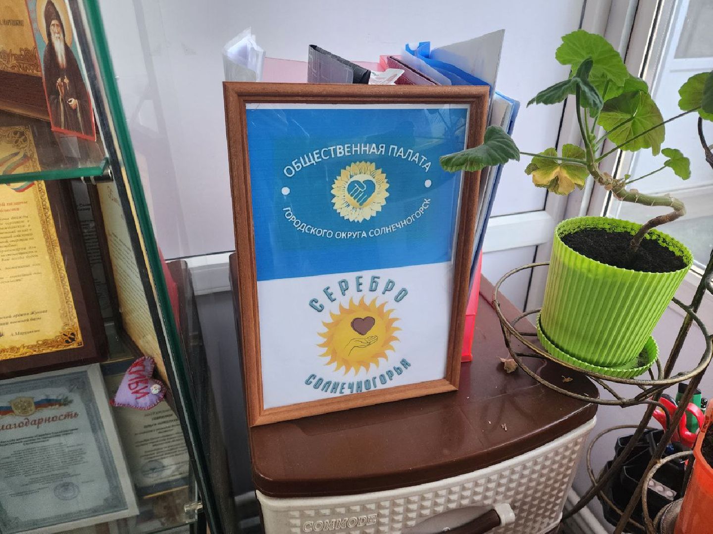 солнечногорск, волонтеры, помощь, специальная военная операция,