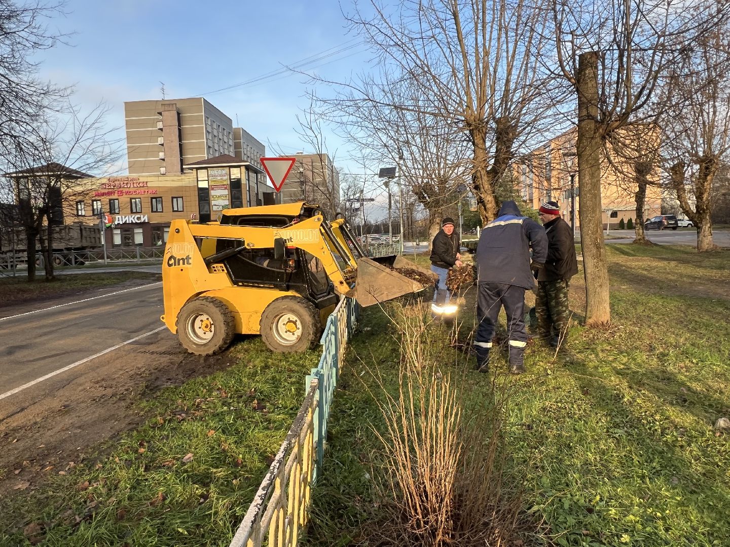 Вербилки благоустройство, талдомский городской округ, уборка листвы,