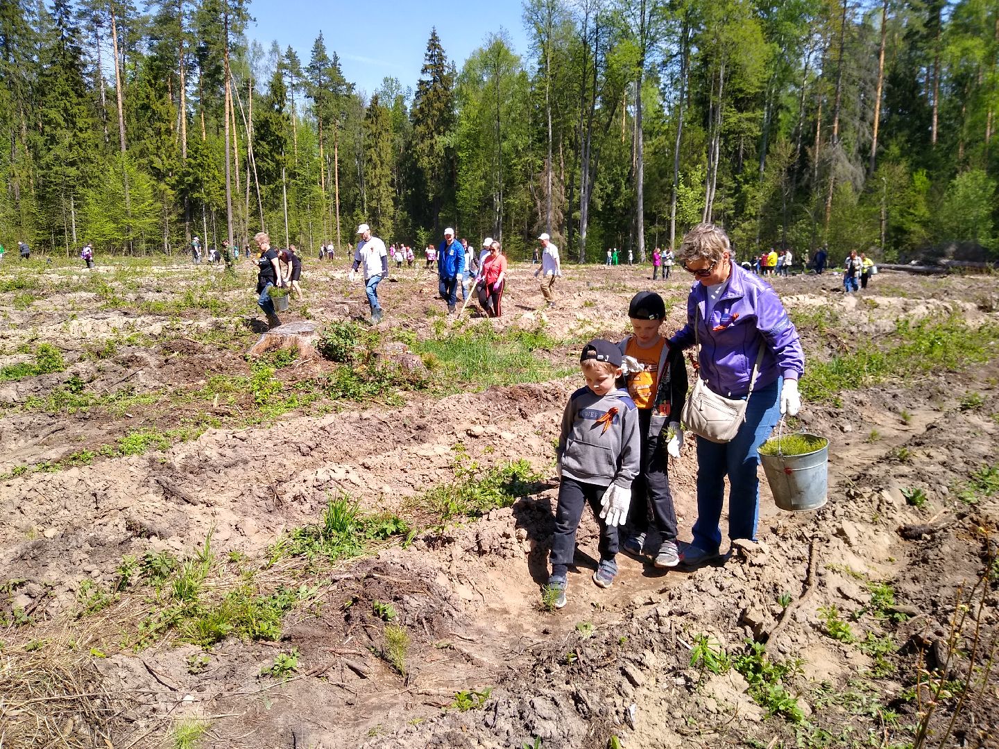 Раменское, Лес Победы 2023, центральная площадка, Кратово
