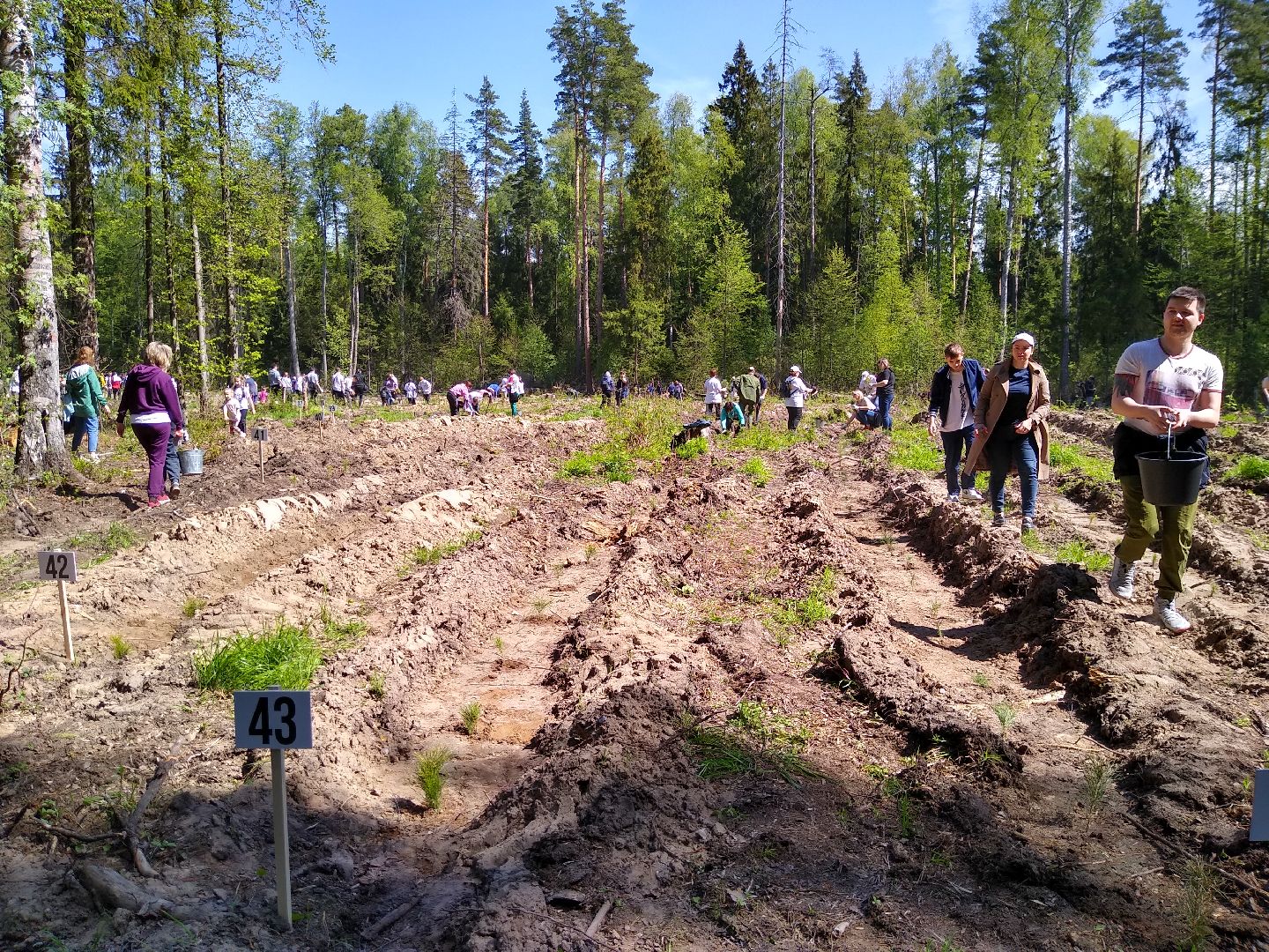 Раменское, Лес Победы 2023, центральная площадка, Кратово