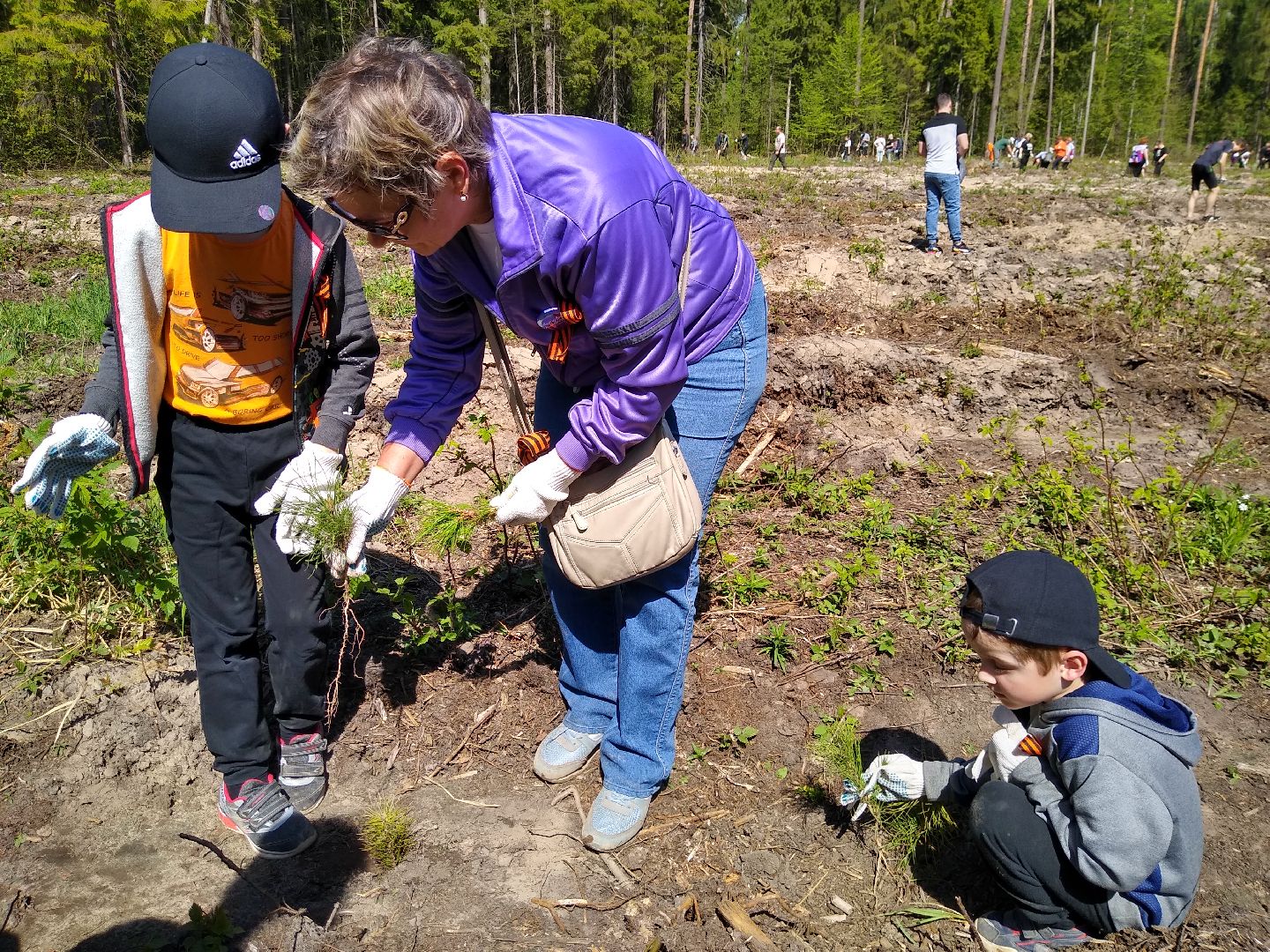 Раменское, Лес Победы 2023, центральная площадка, Кратово