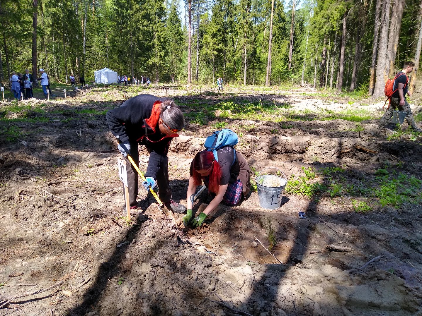 Раменское, Лес Победы 2023, центральная площадка, Кратово