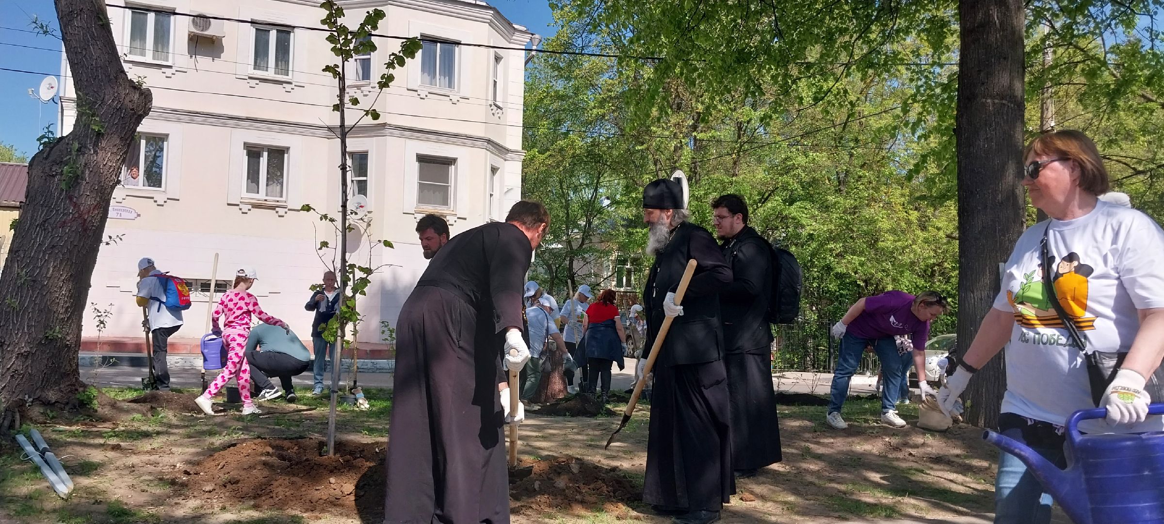 коломна, лес победы, деревья