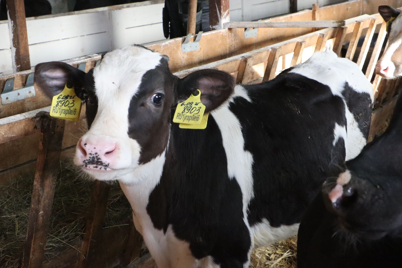 серебряные пруды, минсельхоз мо, КФХ, грант, агростартап,