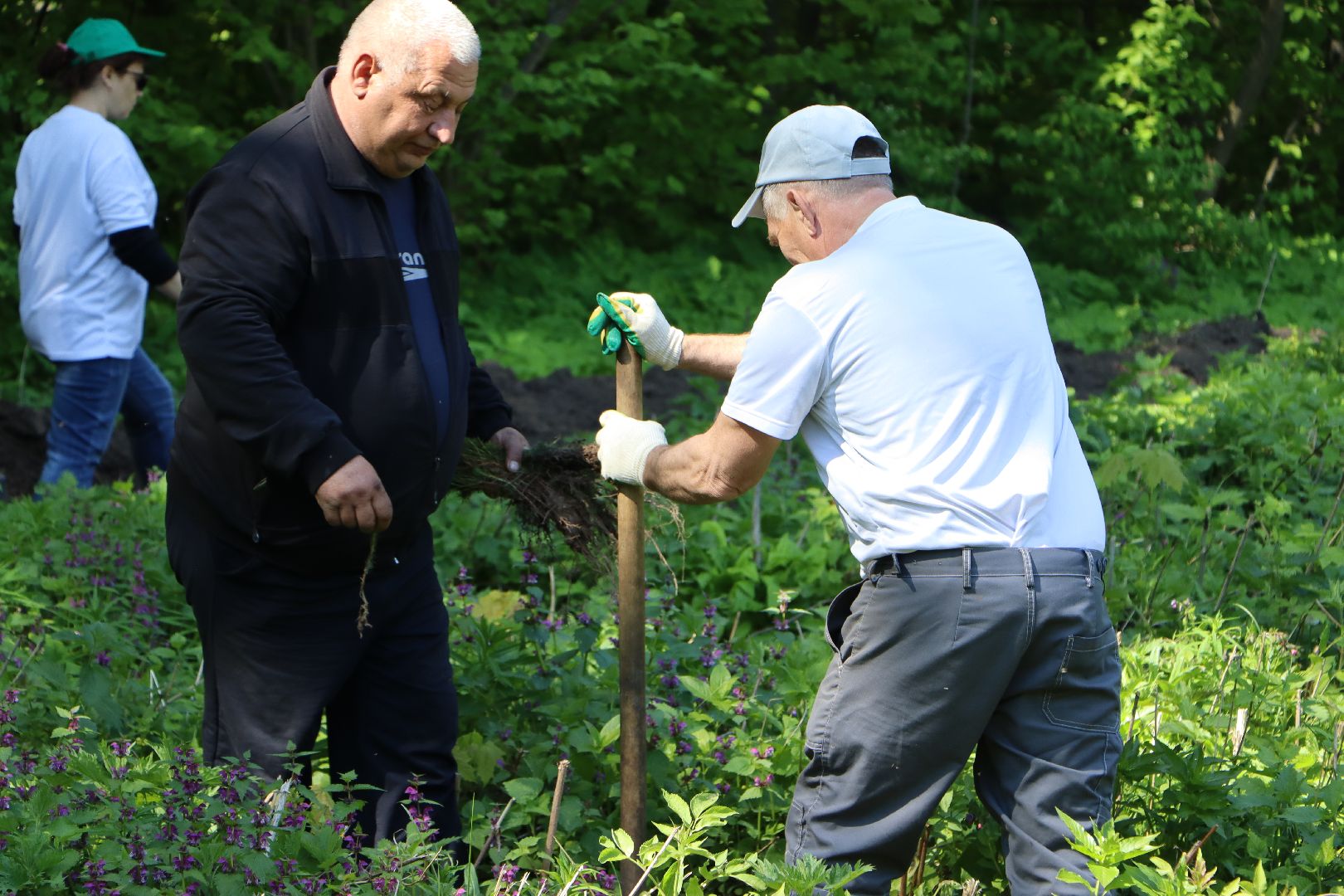 Серебряные Пруды, Лес Победы, акция