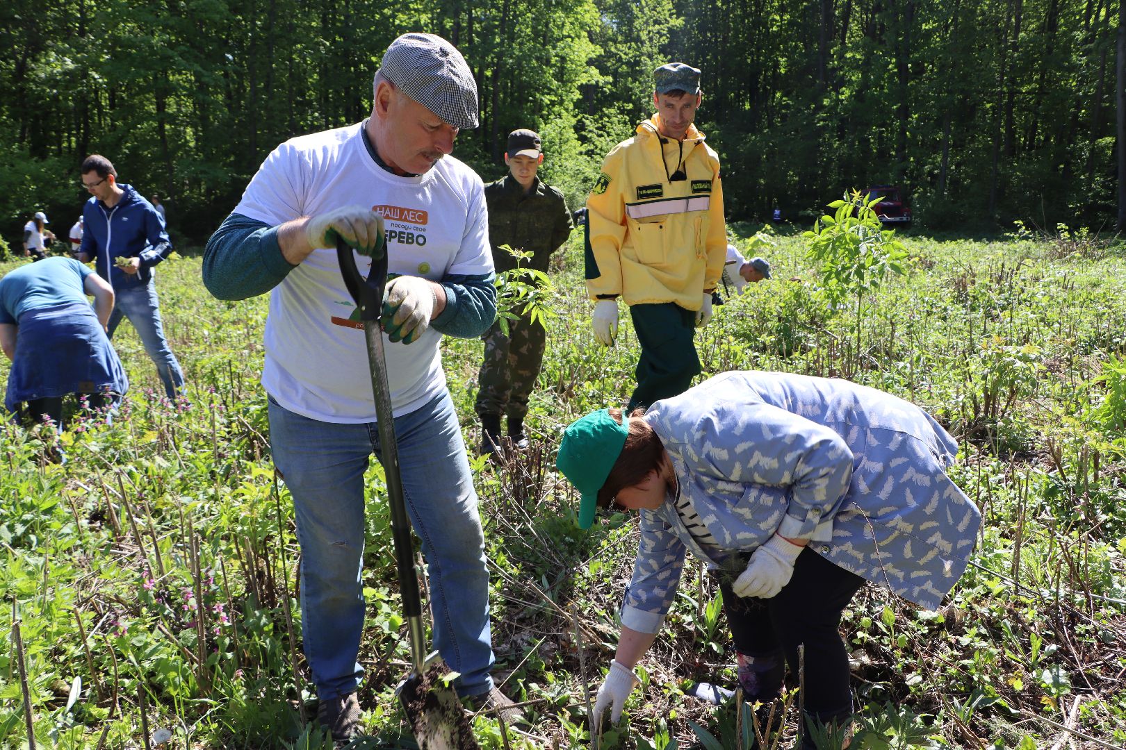 Серебряные Пруды, Лес Победы, акция