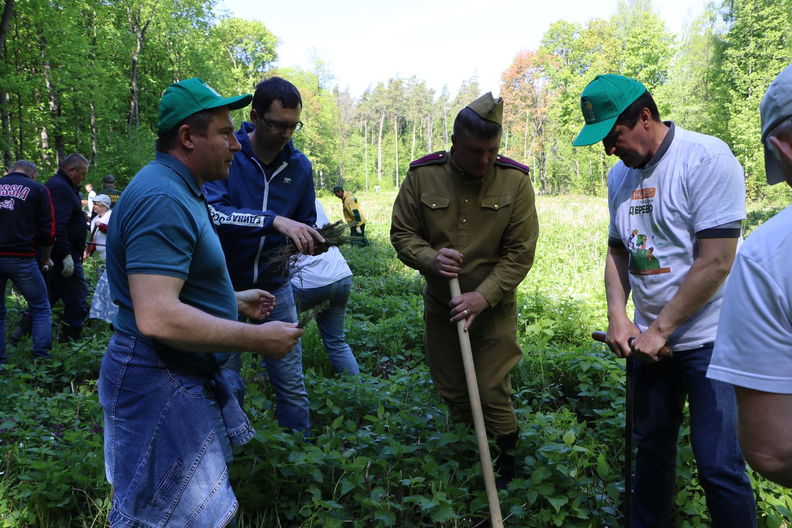Серебряные Пруды, Лес Победы, акция