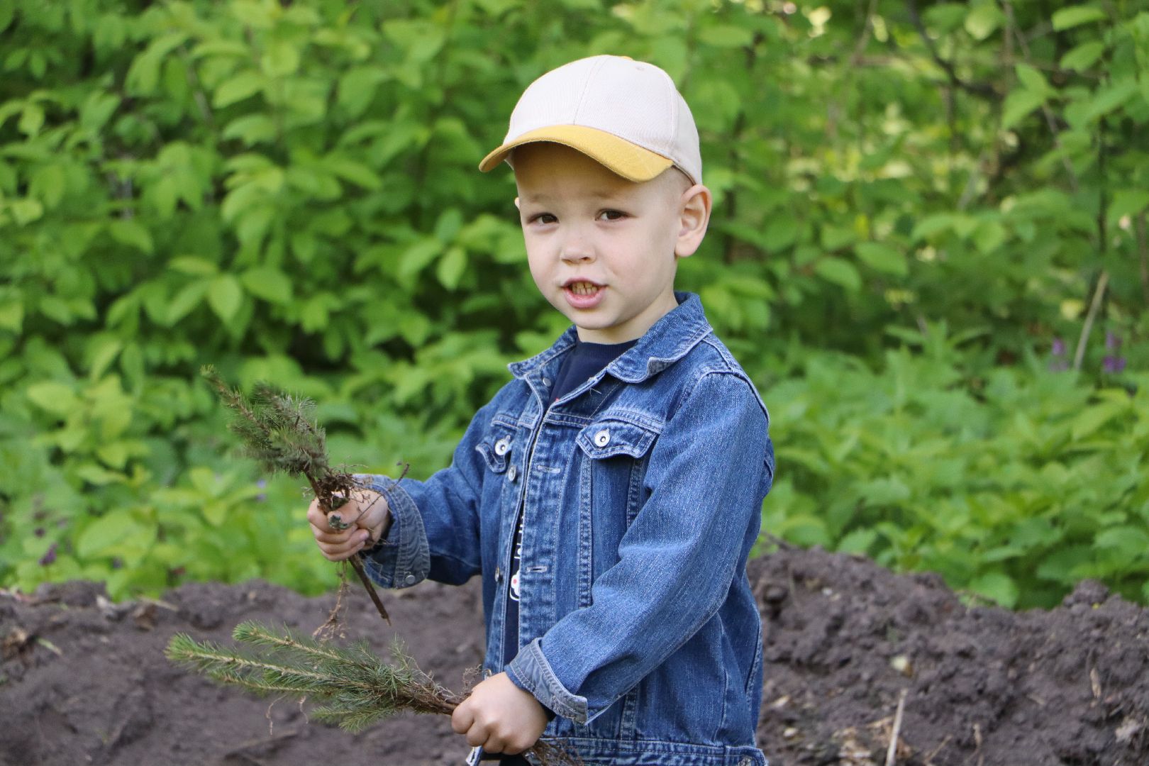 Серебряные Пруды, Лес Победы, акция