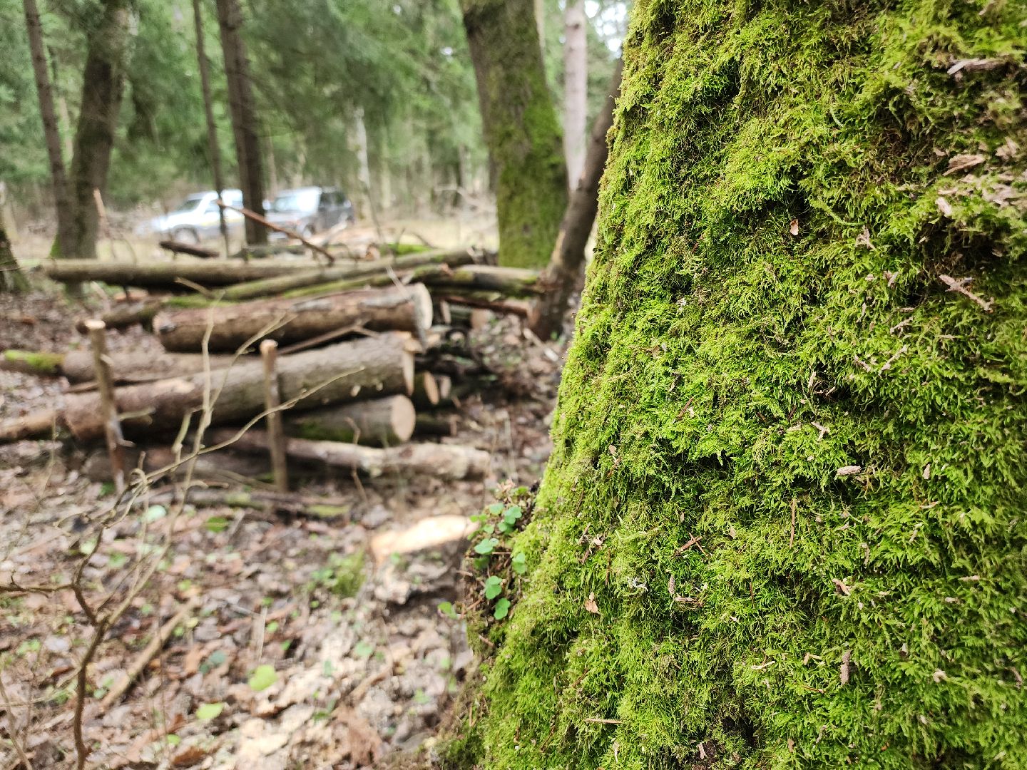 Егорьевск, Подмосковье, Московская область,