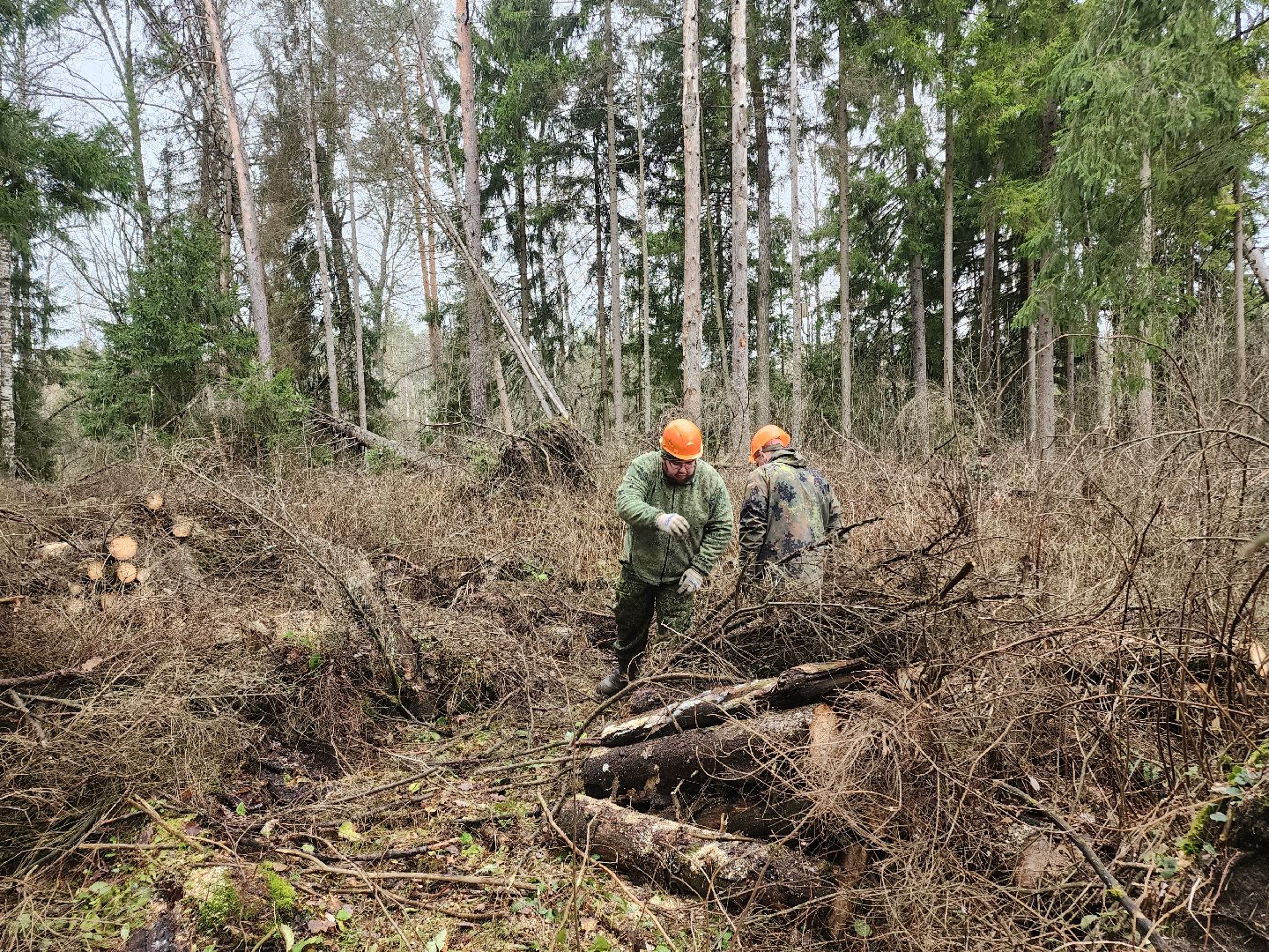 Егорьевск, Подмосковье, Московская область,