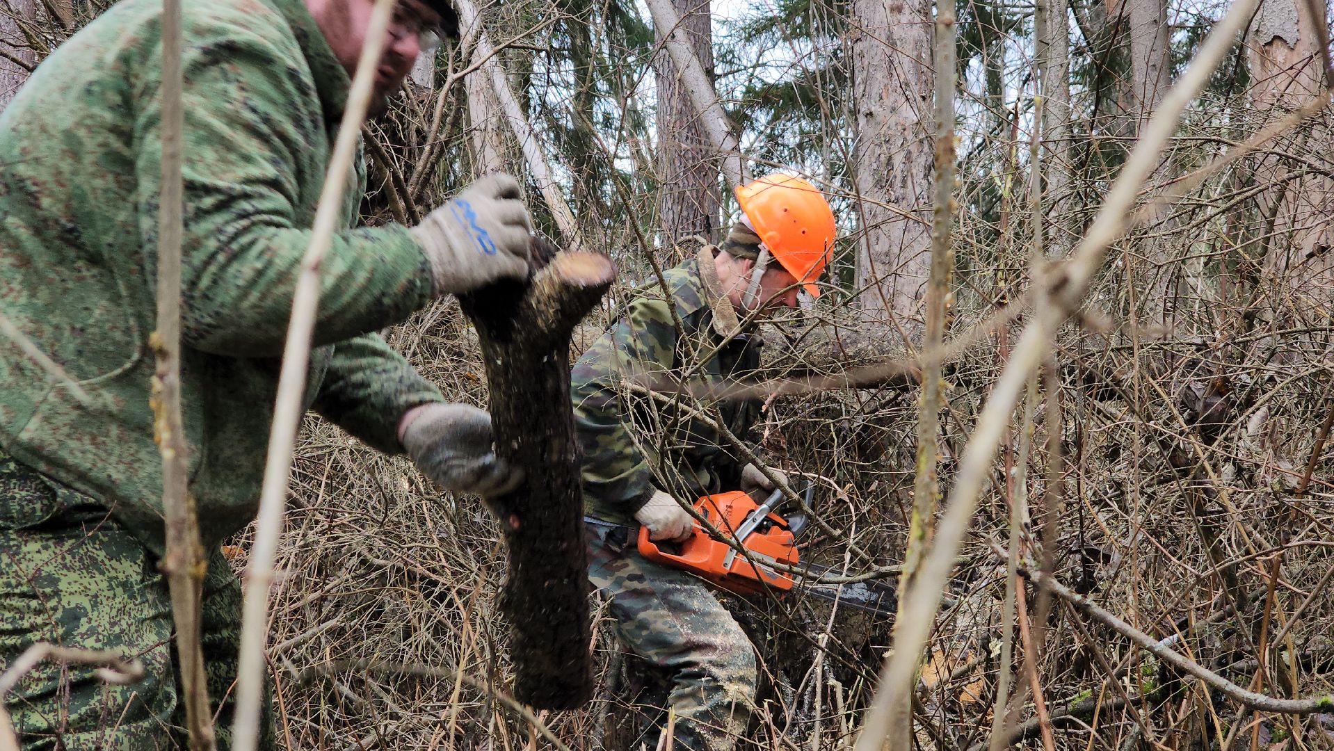 Егорьевск, Подмосковье, Московская область,
