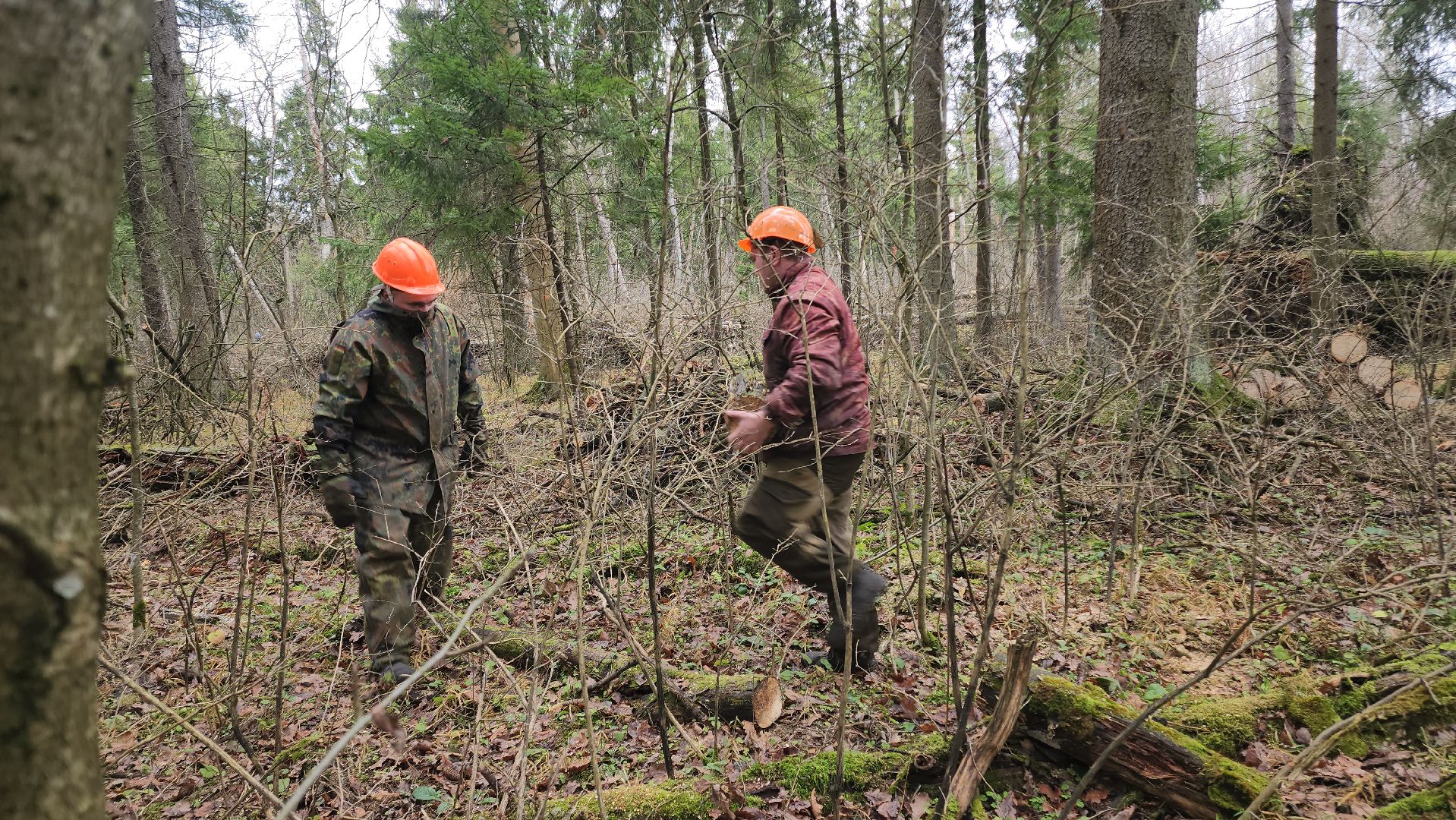 Егорьевск, Подмосковье, Московская область,