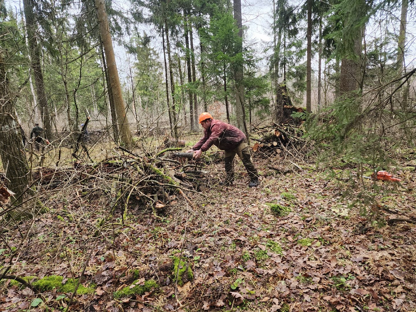 Егорьевск, Подмосковье, Московская область,