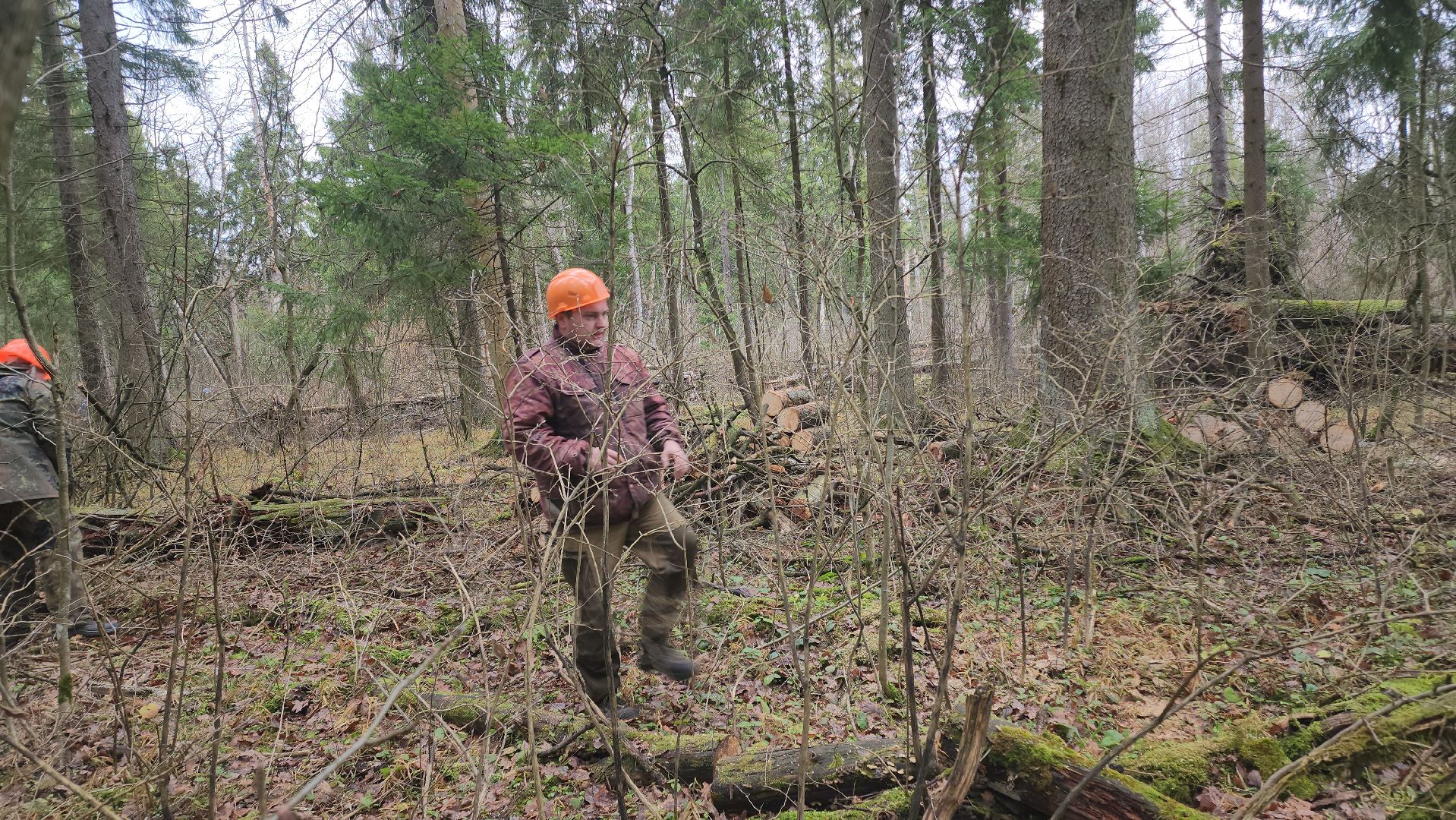 Егорьевск, Подмосковье, Московская область,