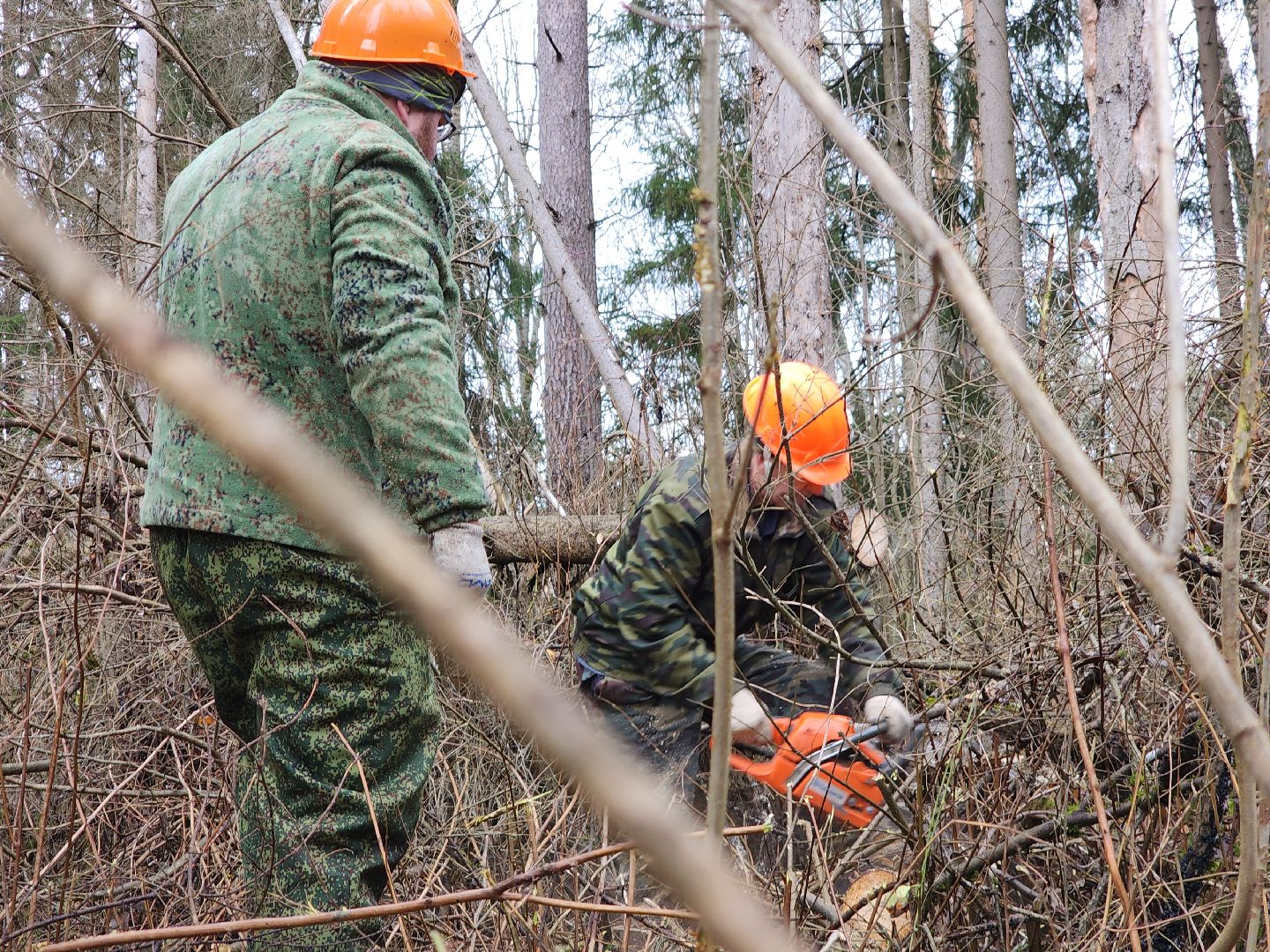 Егорьевск, Подмосковье, Московская область,