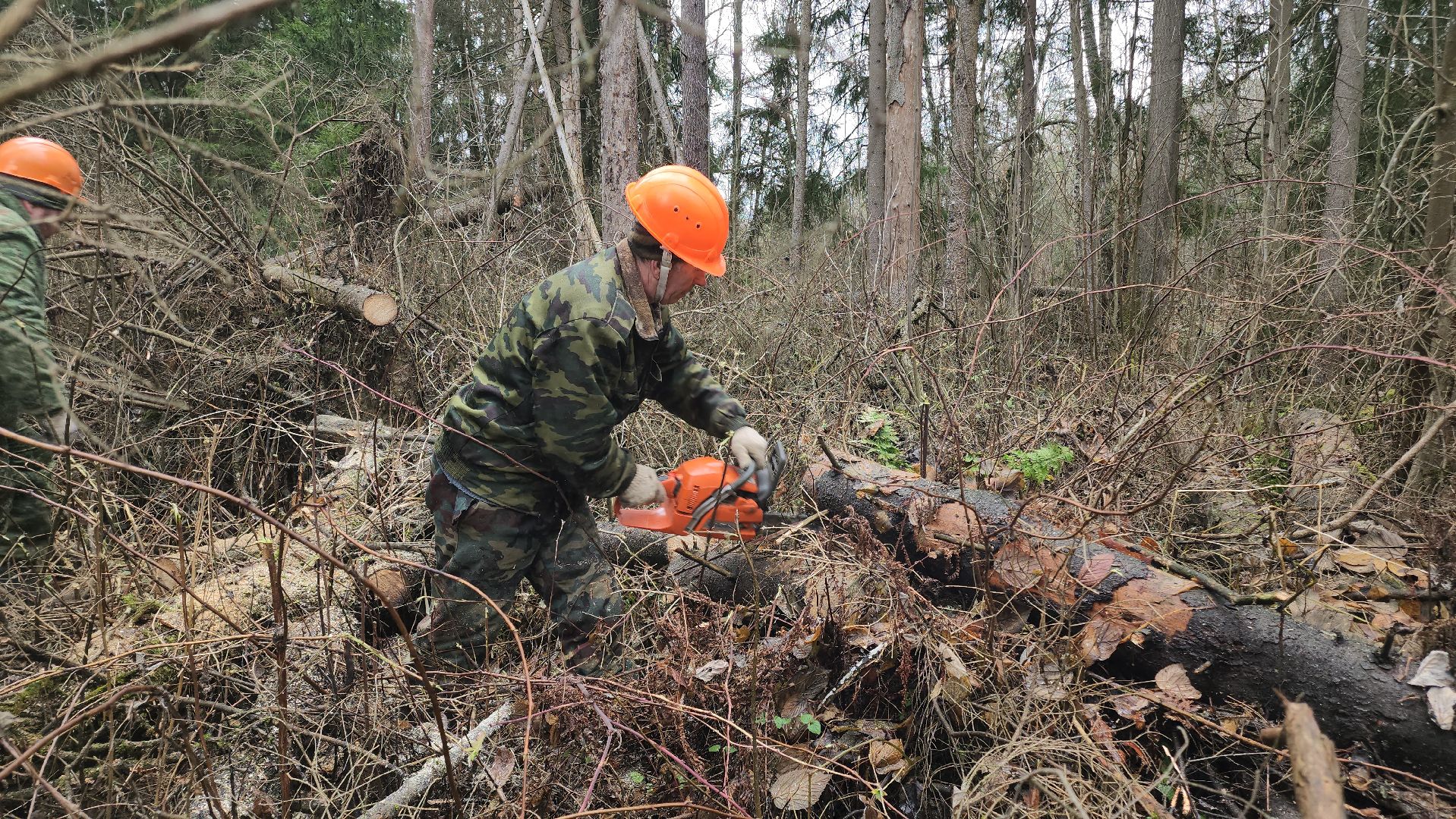 Егорьевск, Подмосковье, Московская область,