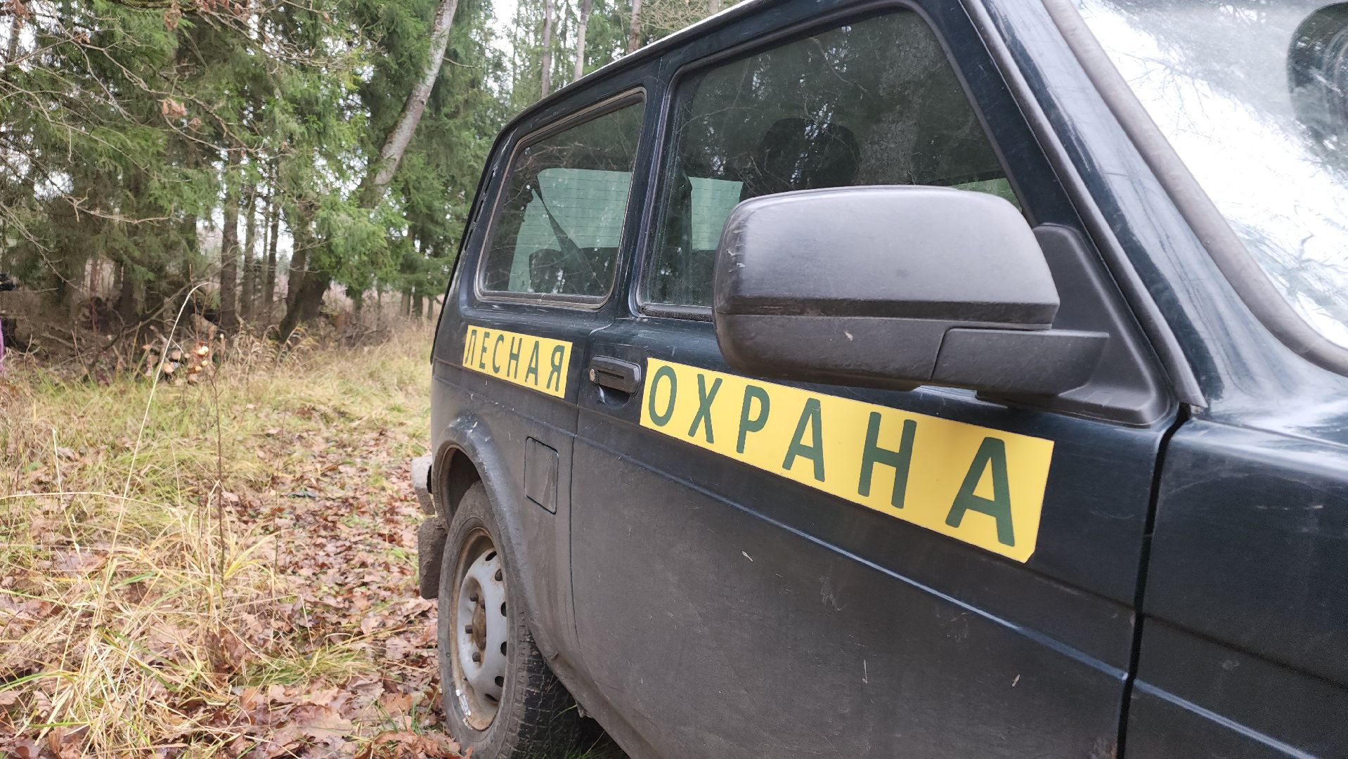 Егорьевск, Подмосковье, Московская область,