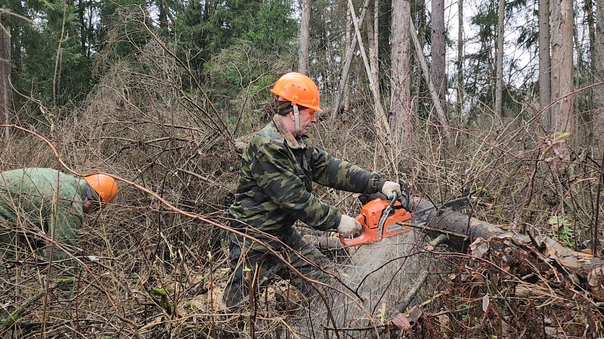 Егорьевск, Подмосковье, Московская область,