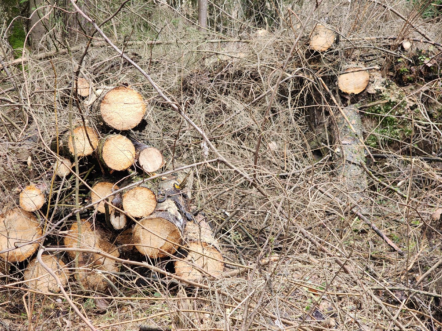 Егорьевск, Подмосковье, Московская область,