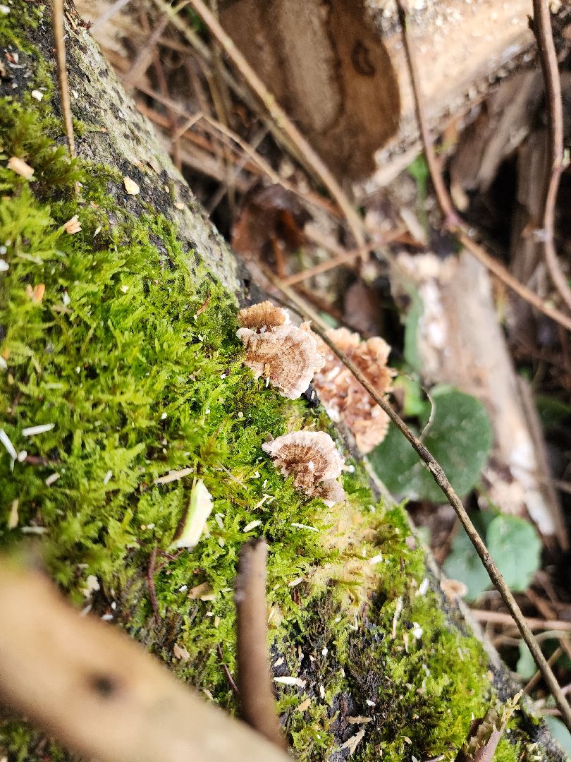 Егорьевск, Подмосковье, Московская область,