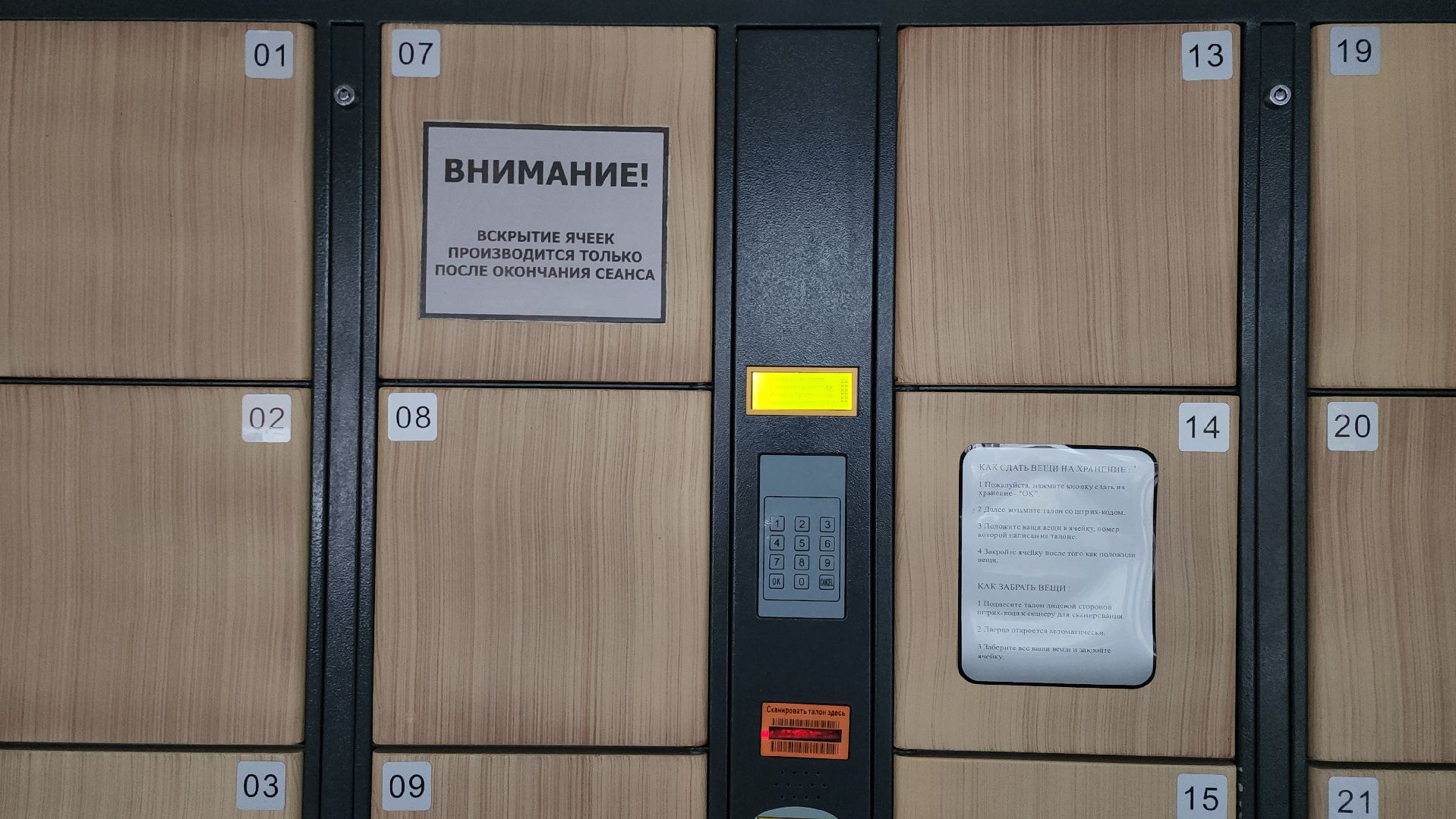 каток, дедовск,