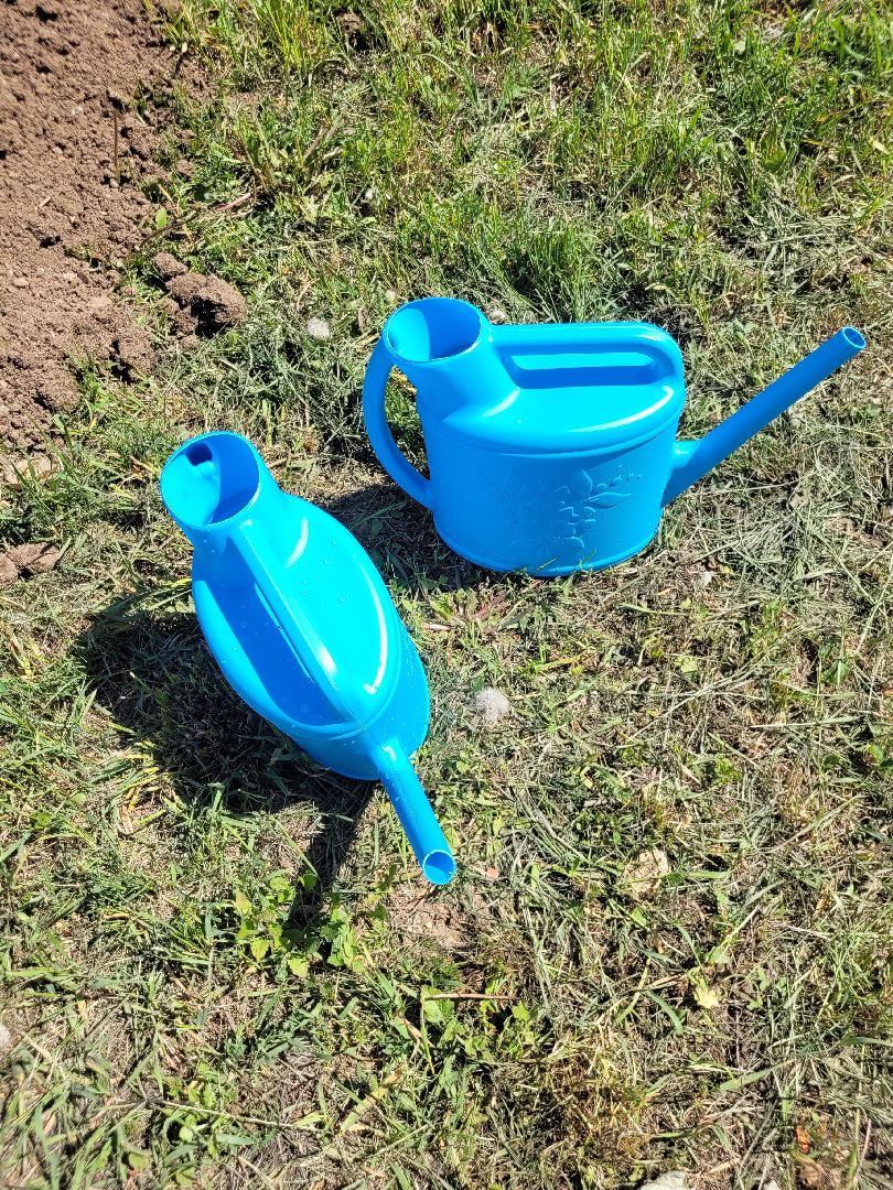 дети; день победы; акция; область ; регион