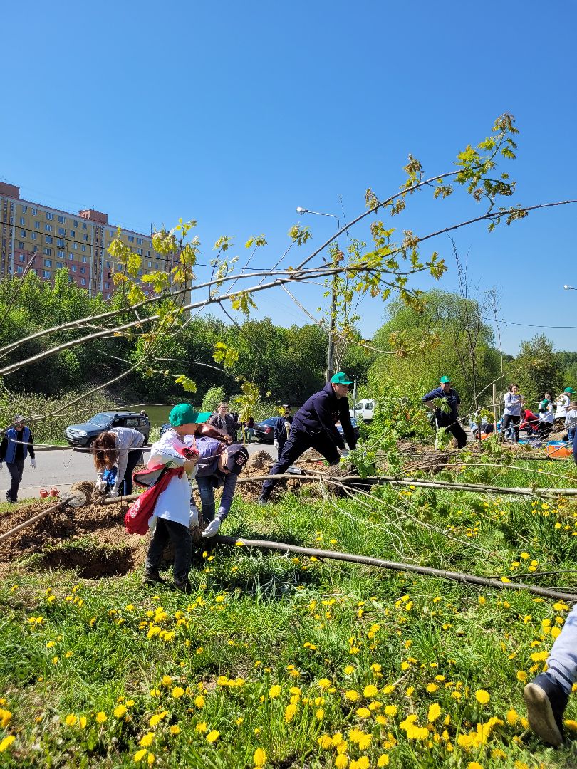 дети; день победы; акция; область ; регион
