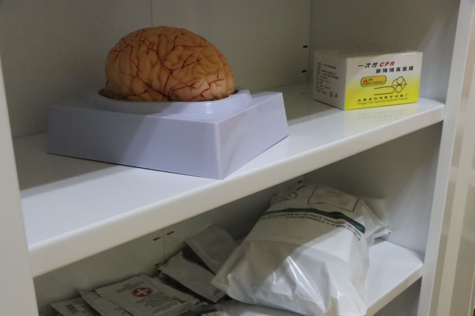 серебряные пруды, образосание, суз, могок,