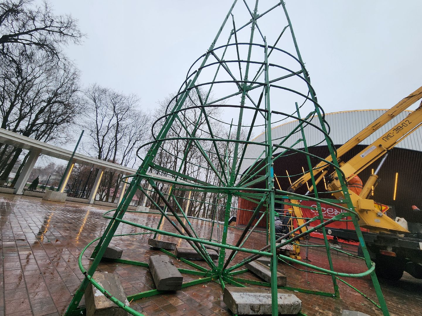 Подольск , Парк Талалихина , новогодняя ель в парке,