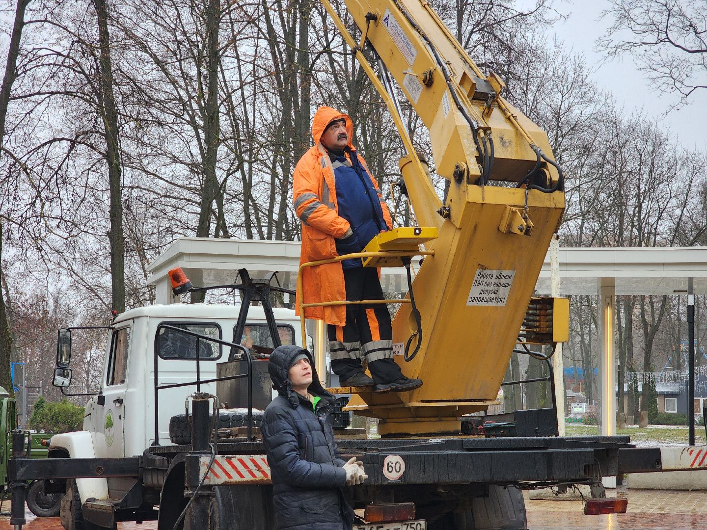 Подольск , Парк Талалихина , новогодняя ель в парке,