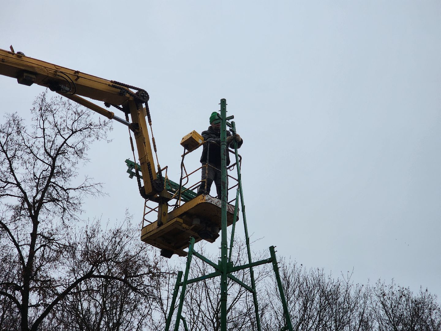 Подольск , Парк Талалихина , новогодняя ель в парке,