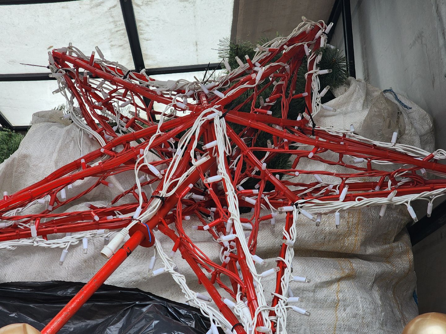 Подольск , Парк Талалихина , новогодняя ель в парке,