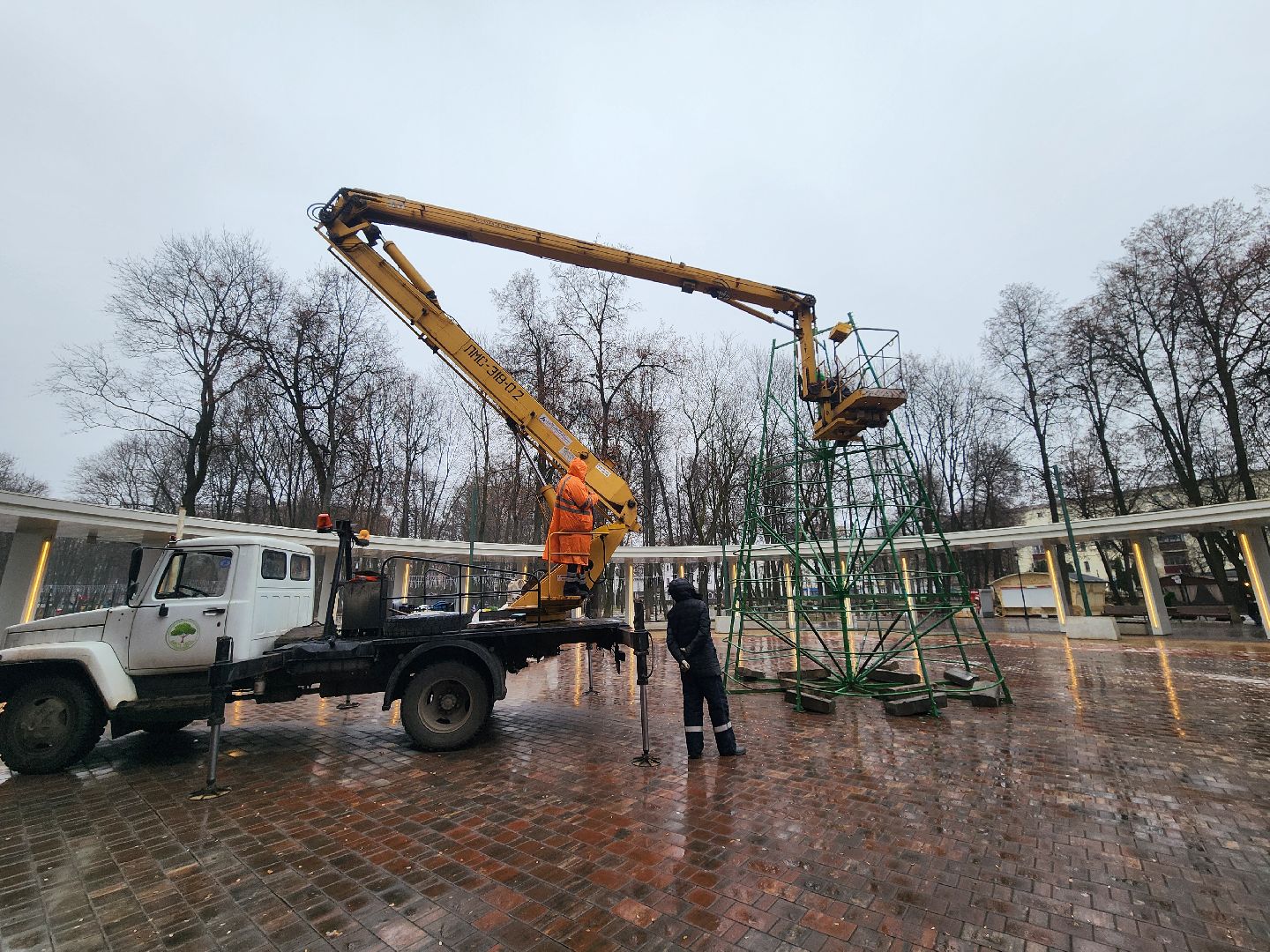 Подольск , Парк Талалихина , новогодняя ель в парке,