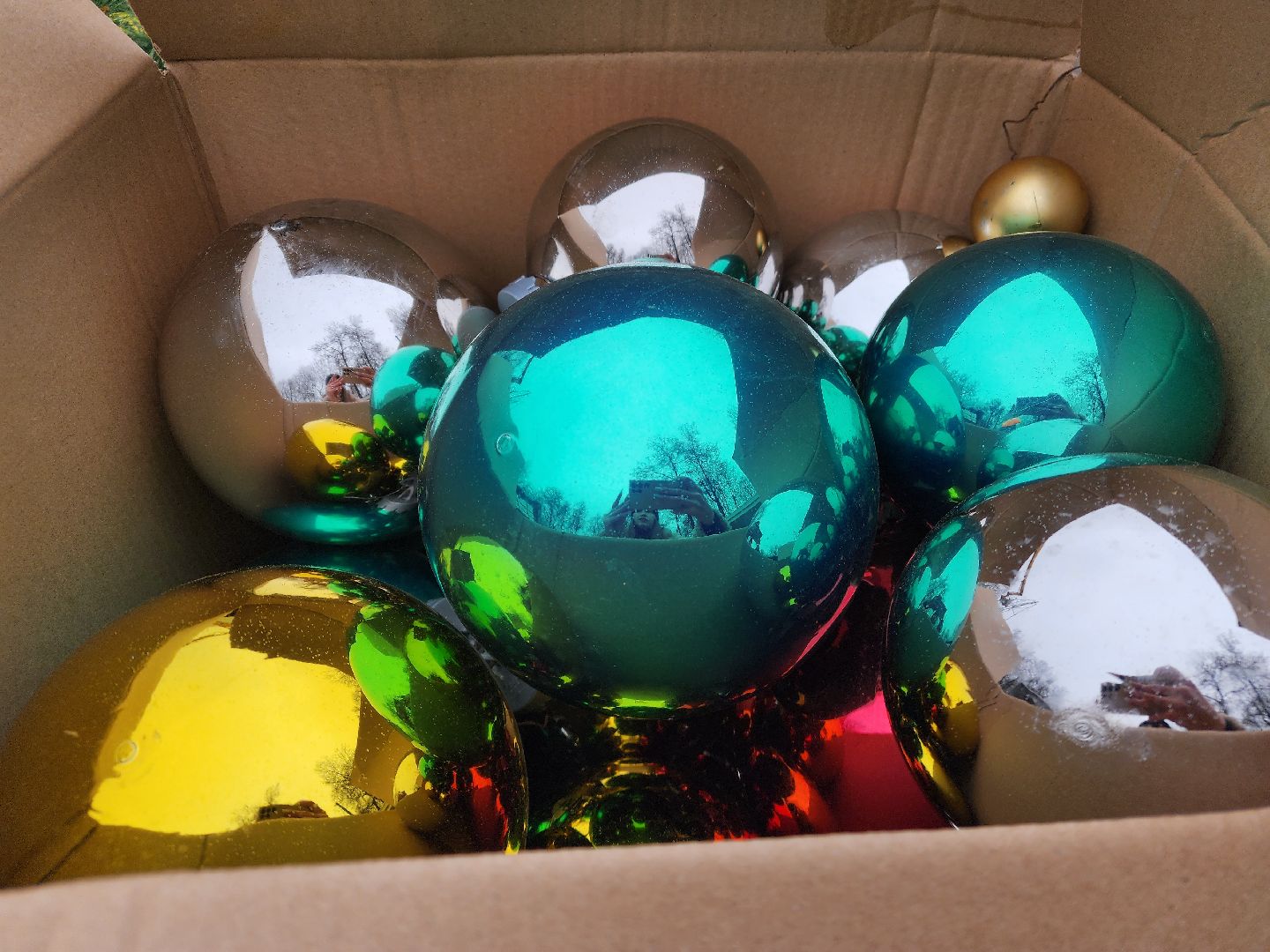 Подольск , Парк Талалихина , новогодняя ель в парке,