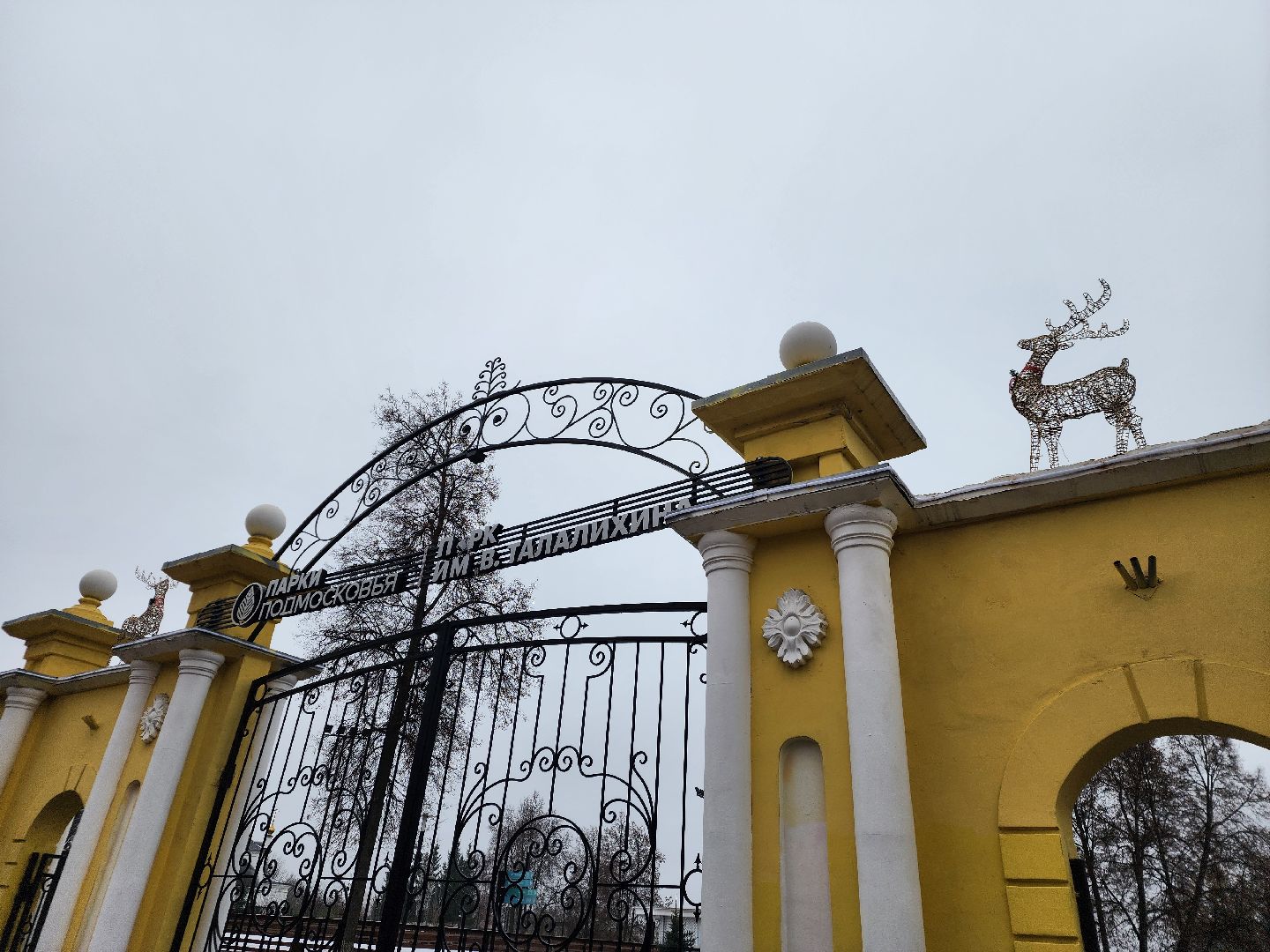 Подольск , Парк Талалихина , новогодняя ель в парке,